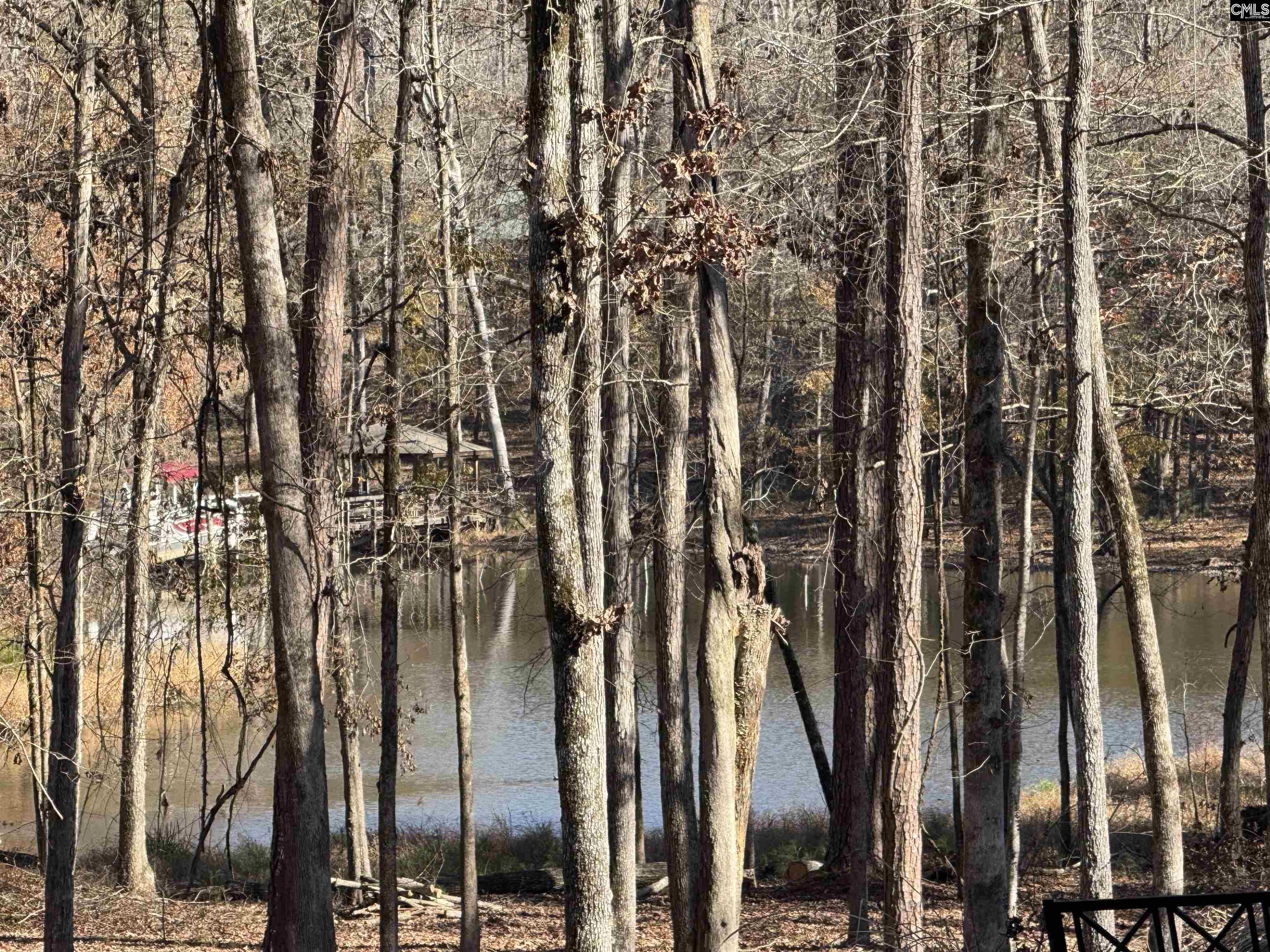 Lot 40 Shoreview Drive UNIT Lot 40 Prosperity, SC 29127