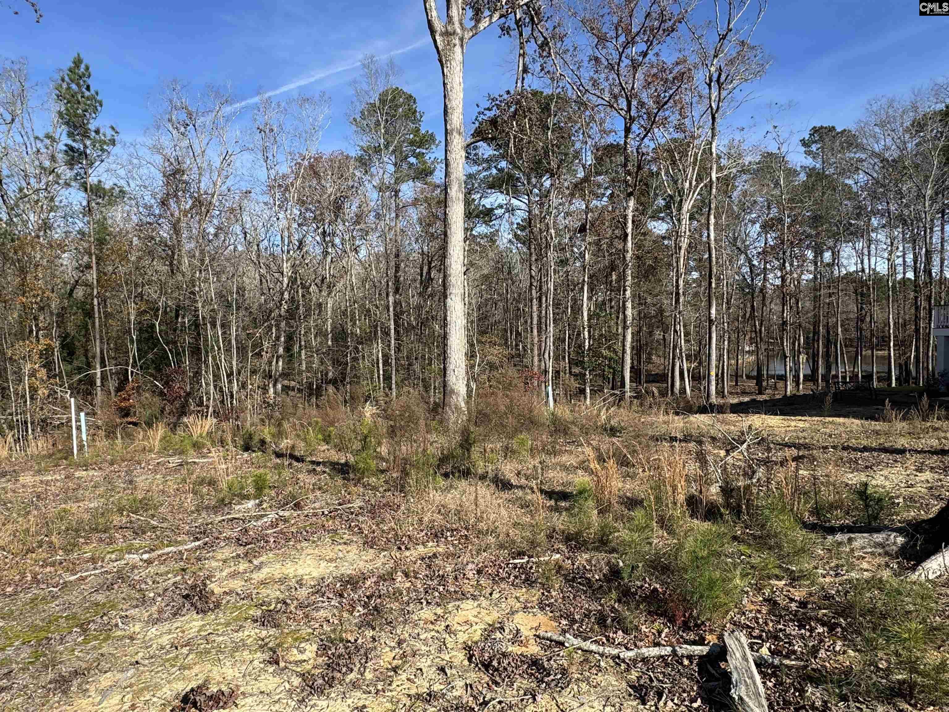 Lot 40 Shoreview Drive UNIT Lot 40 Prosperity, SC 29127