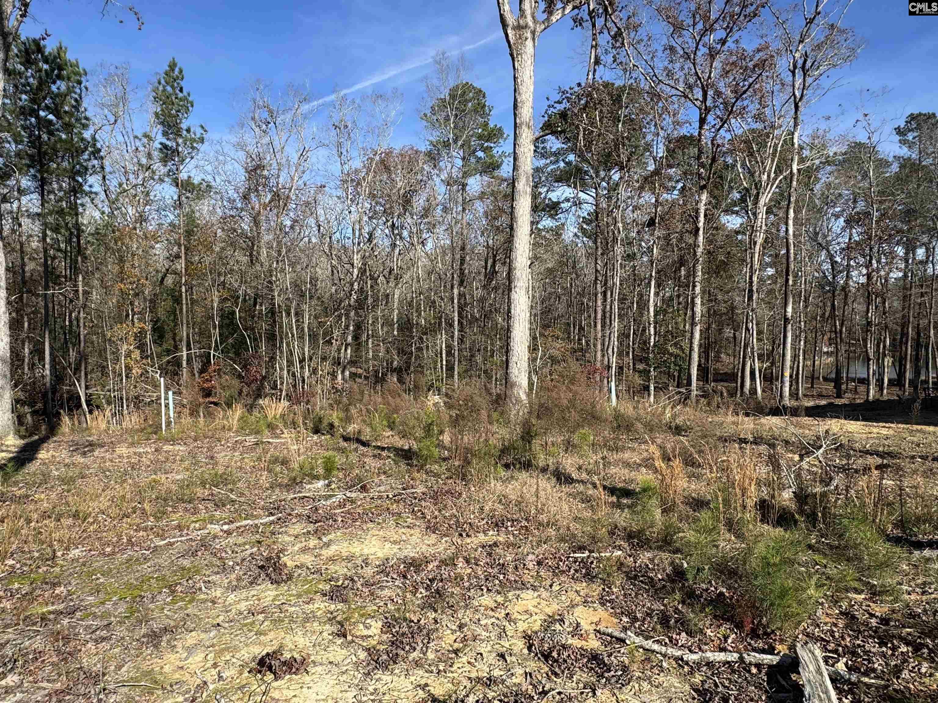 Lot 40 Shoreview Drive UNIT Lot 40 Prosperity, SC 29127