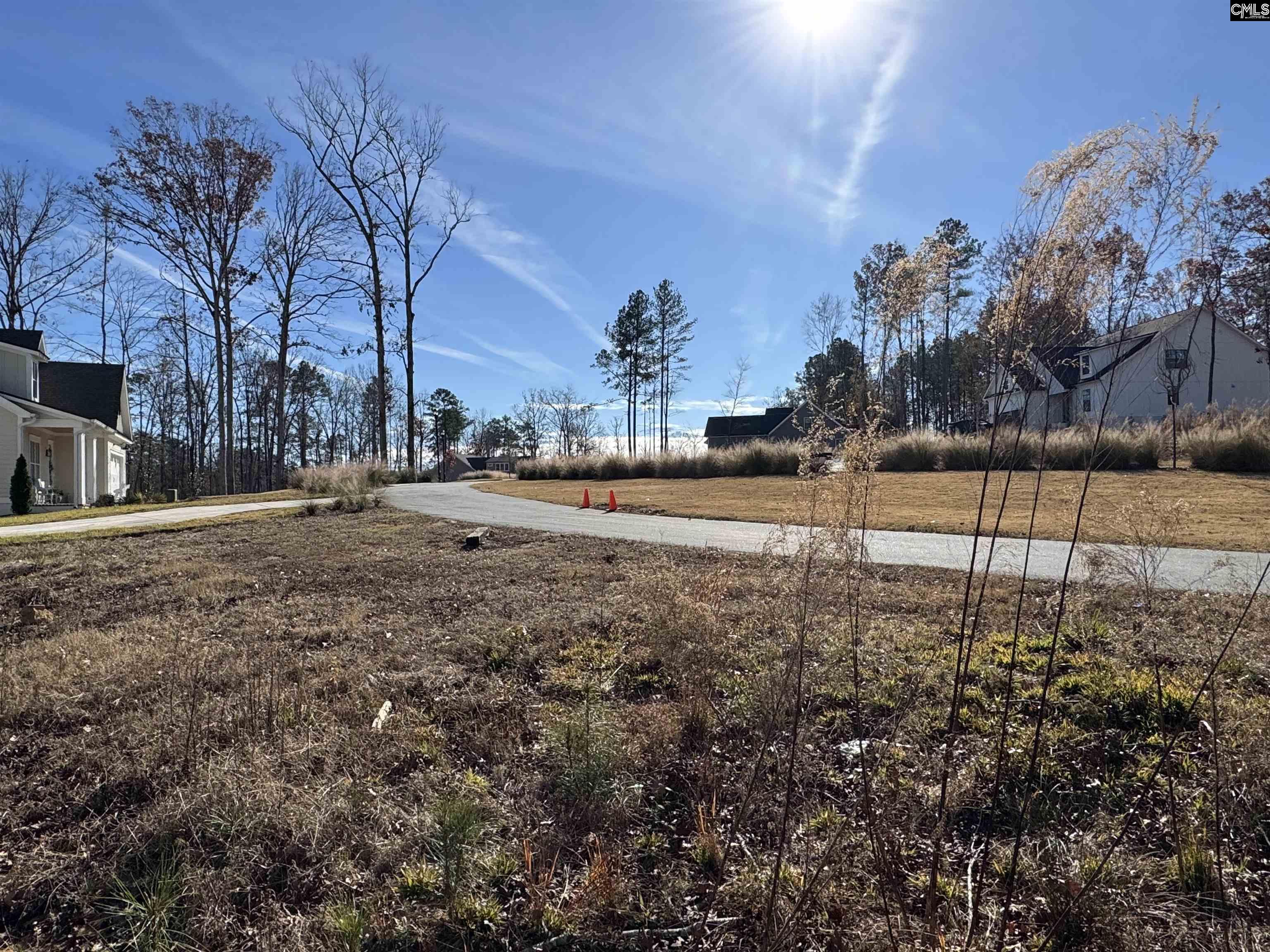 Lot 40 Shoreview Drive UNIT Lot 40 Prosperity, SC 29127