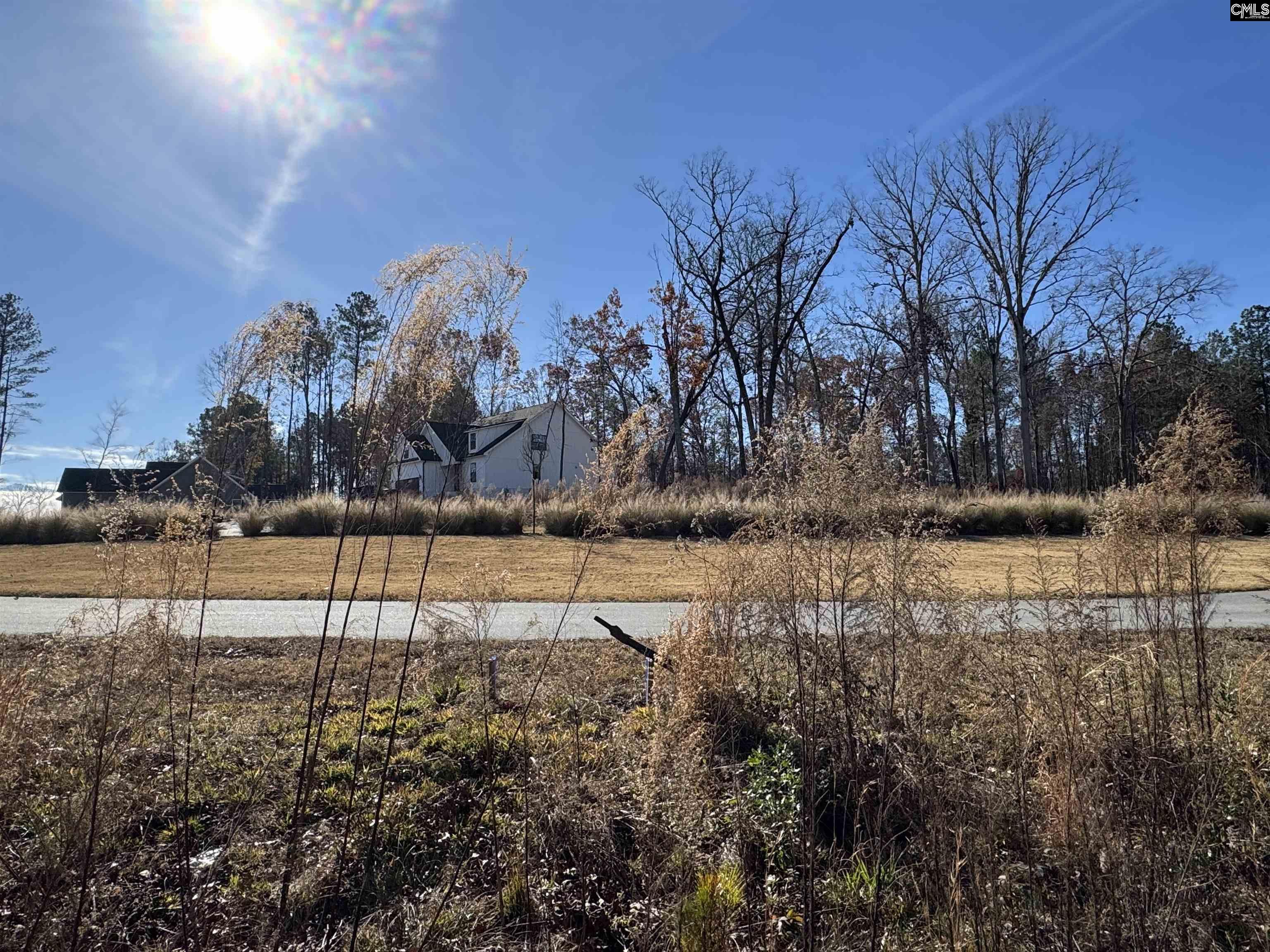 Lot 40 Shoreview Drive UNIT Lot 40 Prosperity, SC 29127