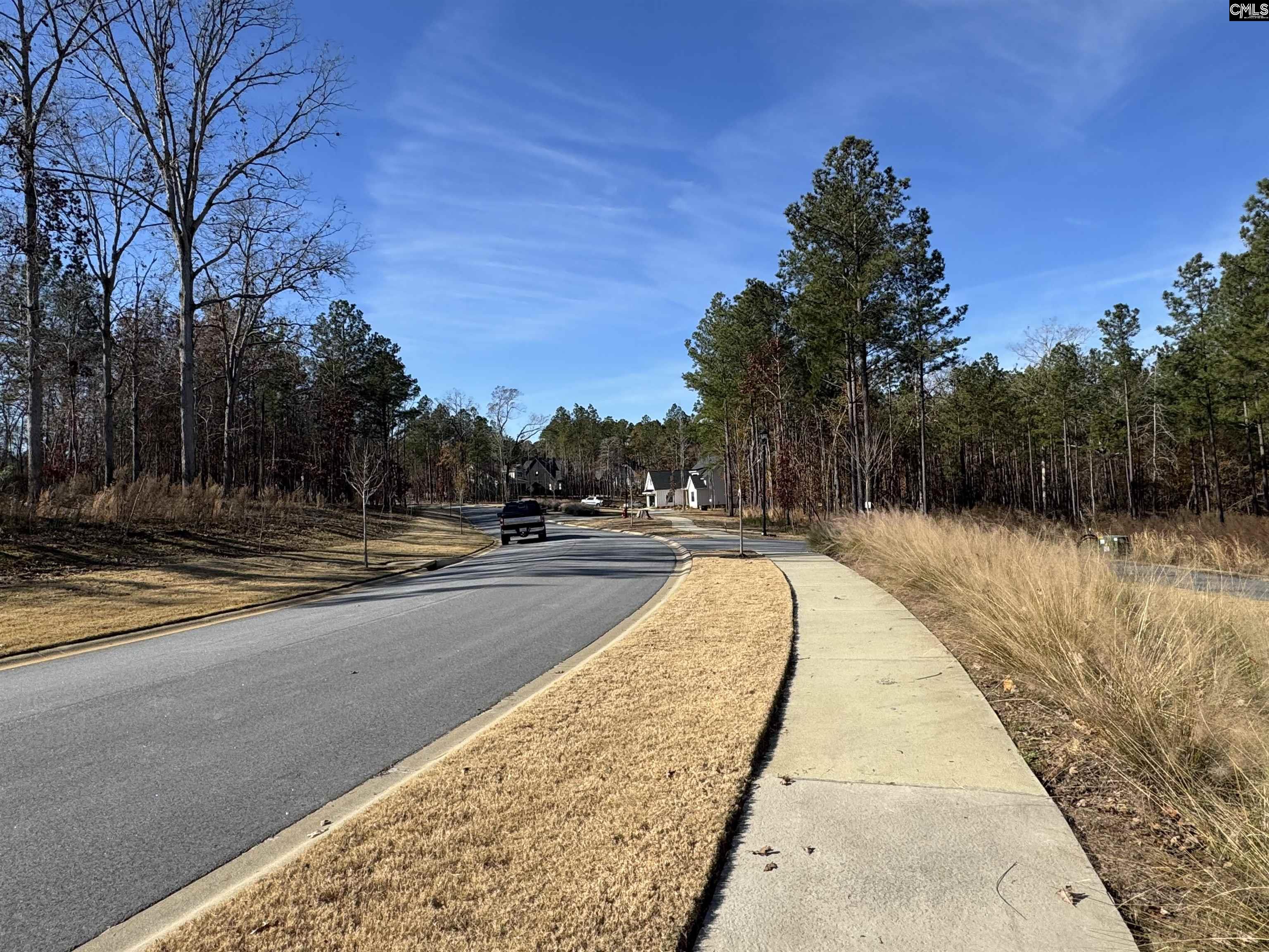 Lot 40 Shoreview Drive UNIT Lot 40 Prosperity, SC 29127