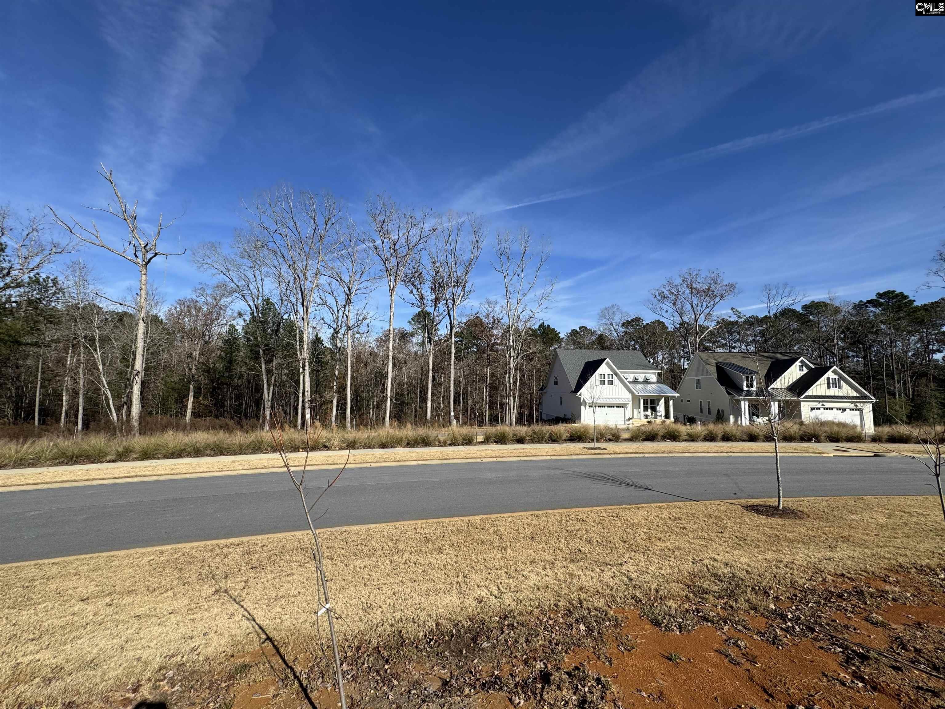 Lot 40 Shoreview Drive, Prosperity, South Carolina image 30