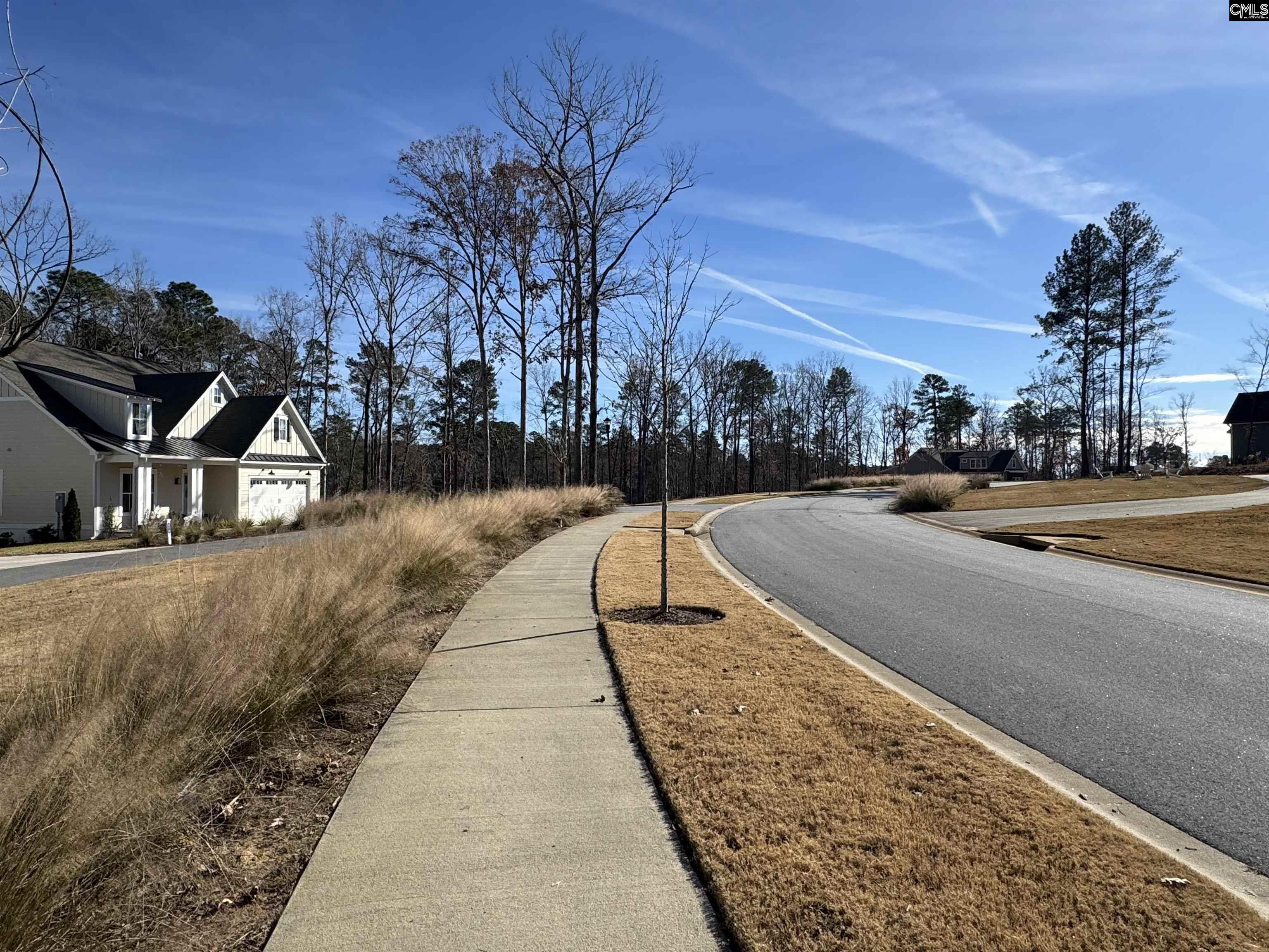 Lot 40 Shoreview Drive UNIT Lot 40 Prosperity, SC 29127