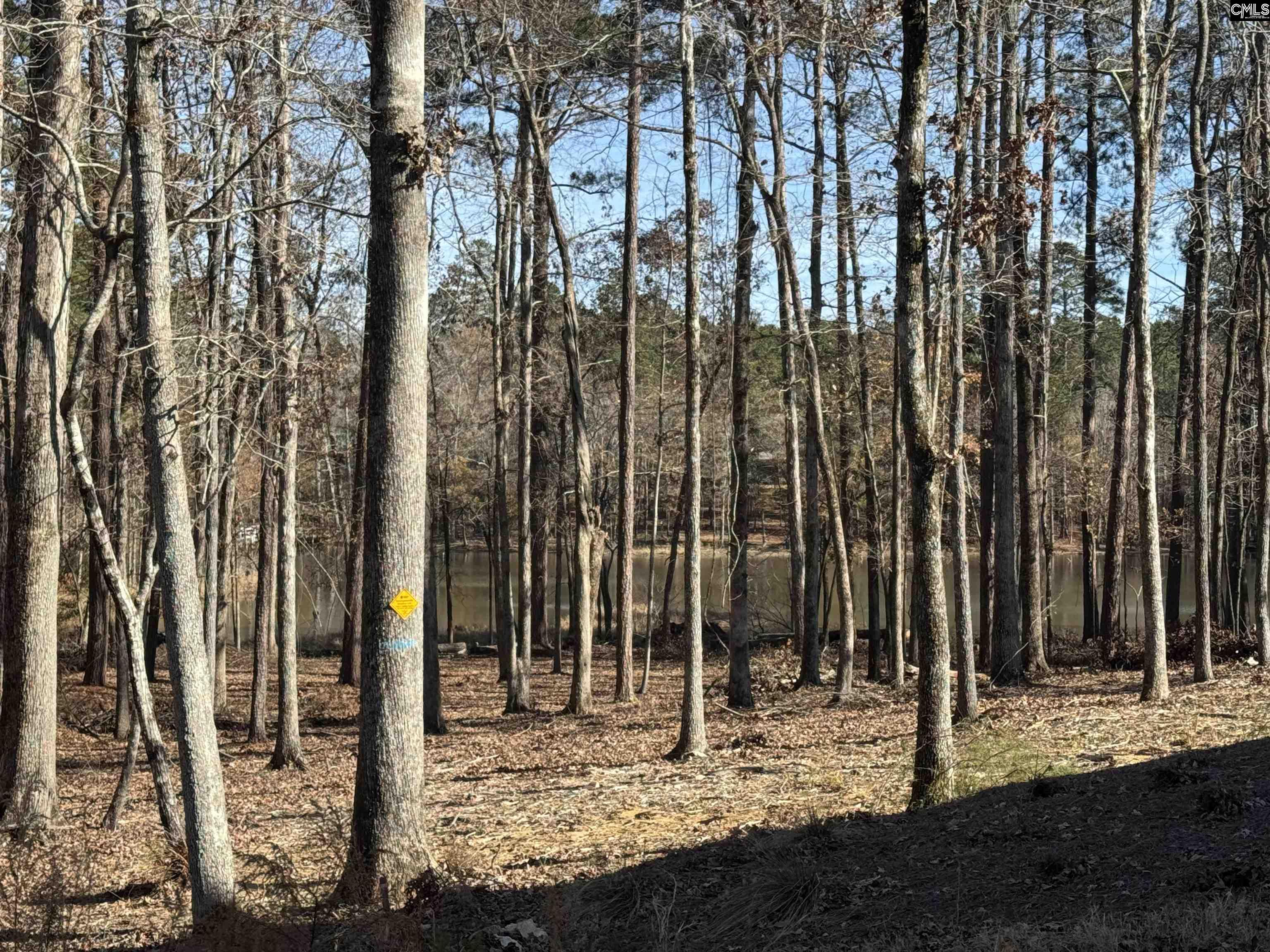 Lot 40 Shoreview Drive UNIT Lot 40 Prosperity, SC 29127