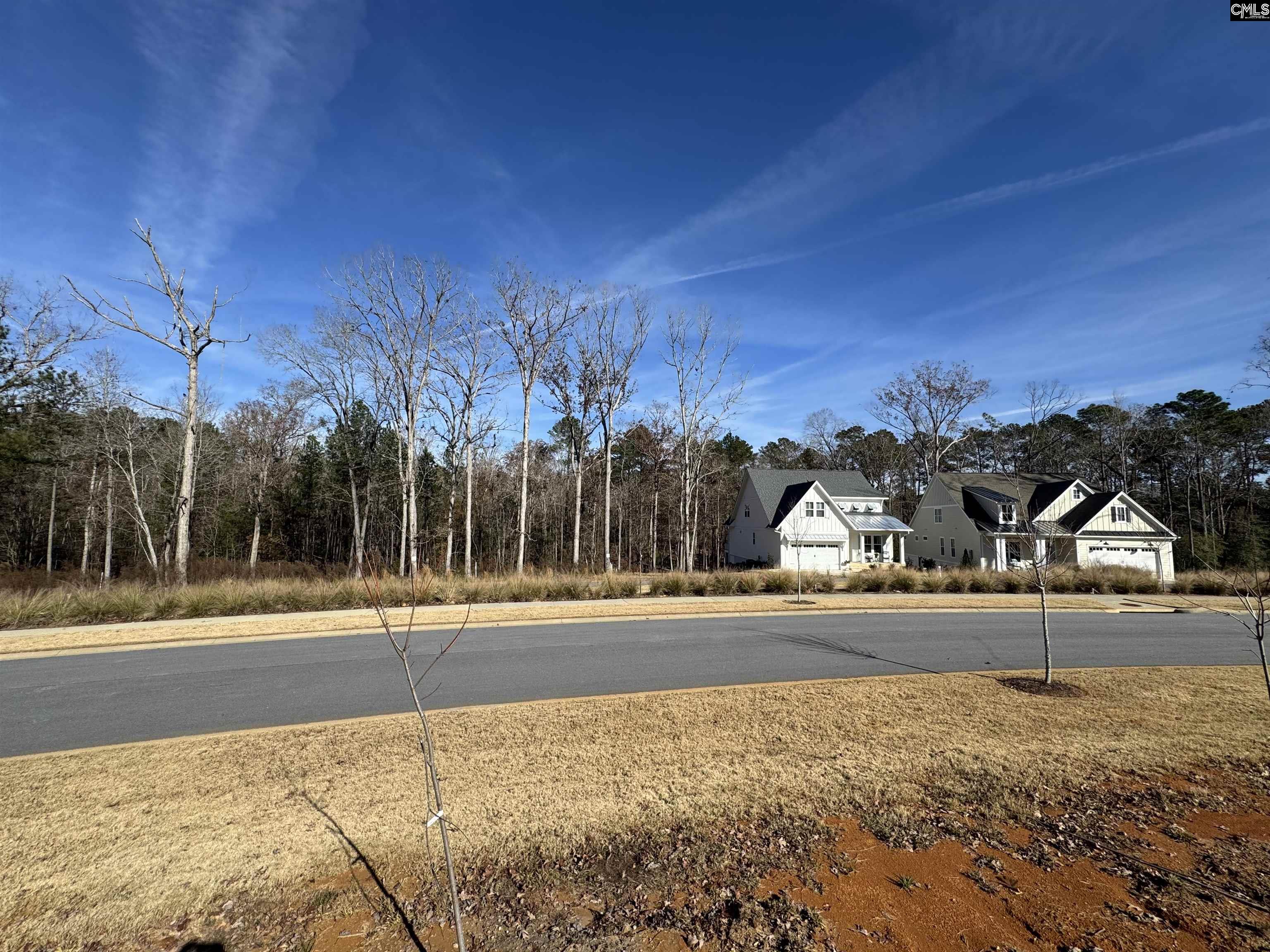 Lot 40 Shoreview Drive UNIT Lot 40 Prosperity, SC 29127