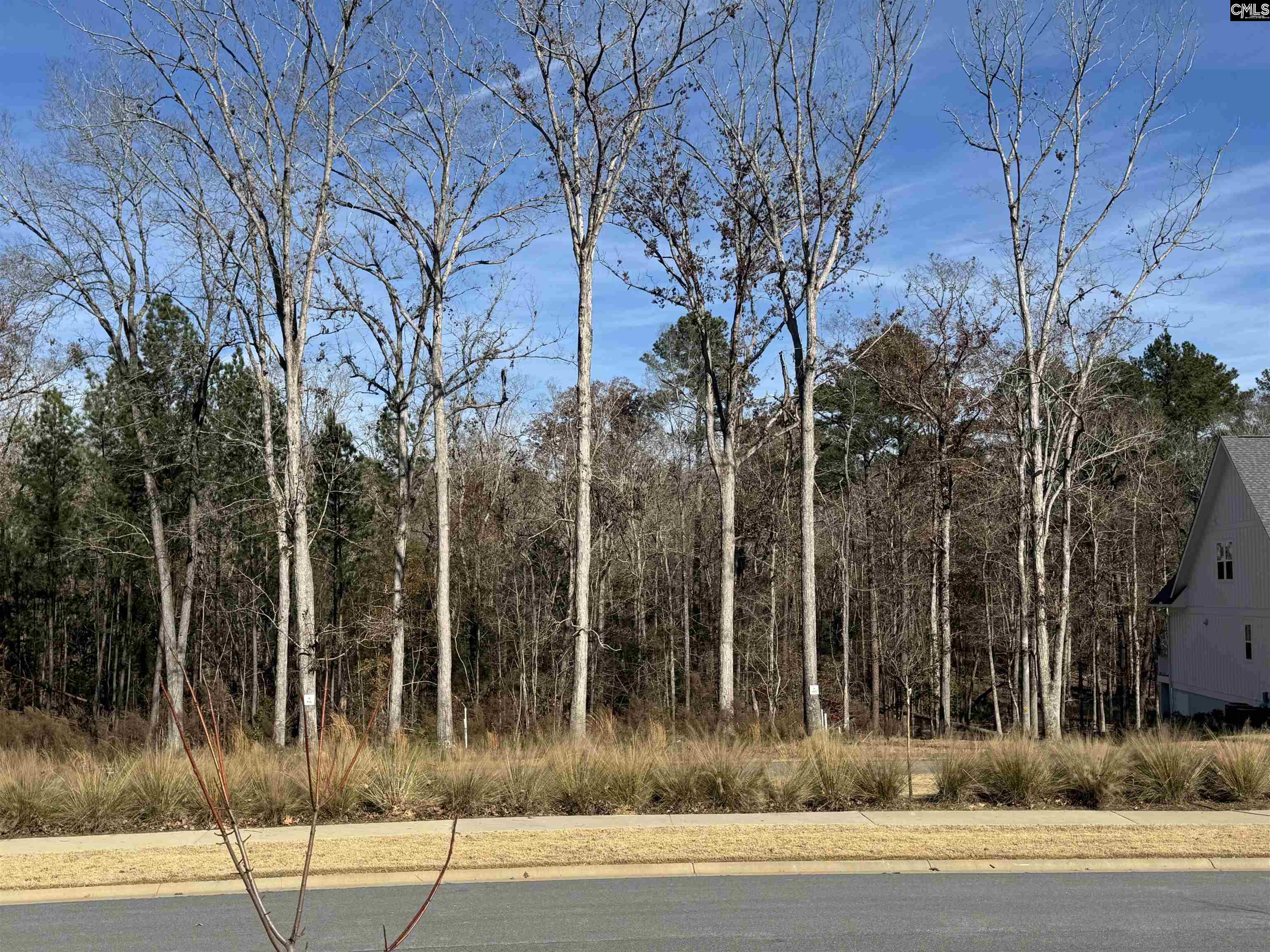 Lot 40 Shoreview Drive, Prosperity, South Carolina image 32