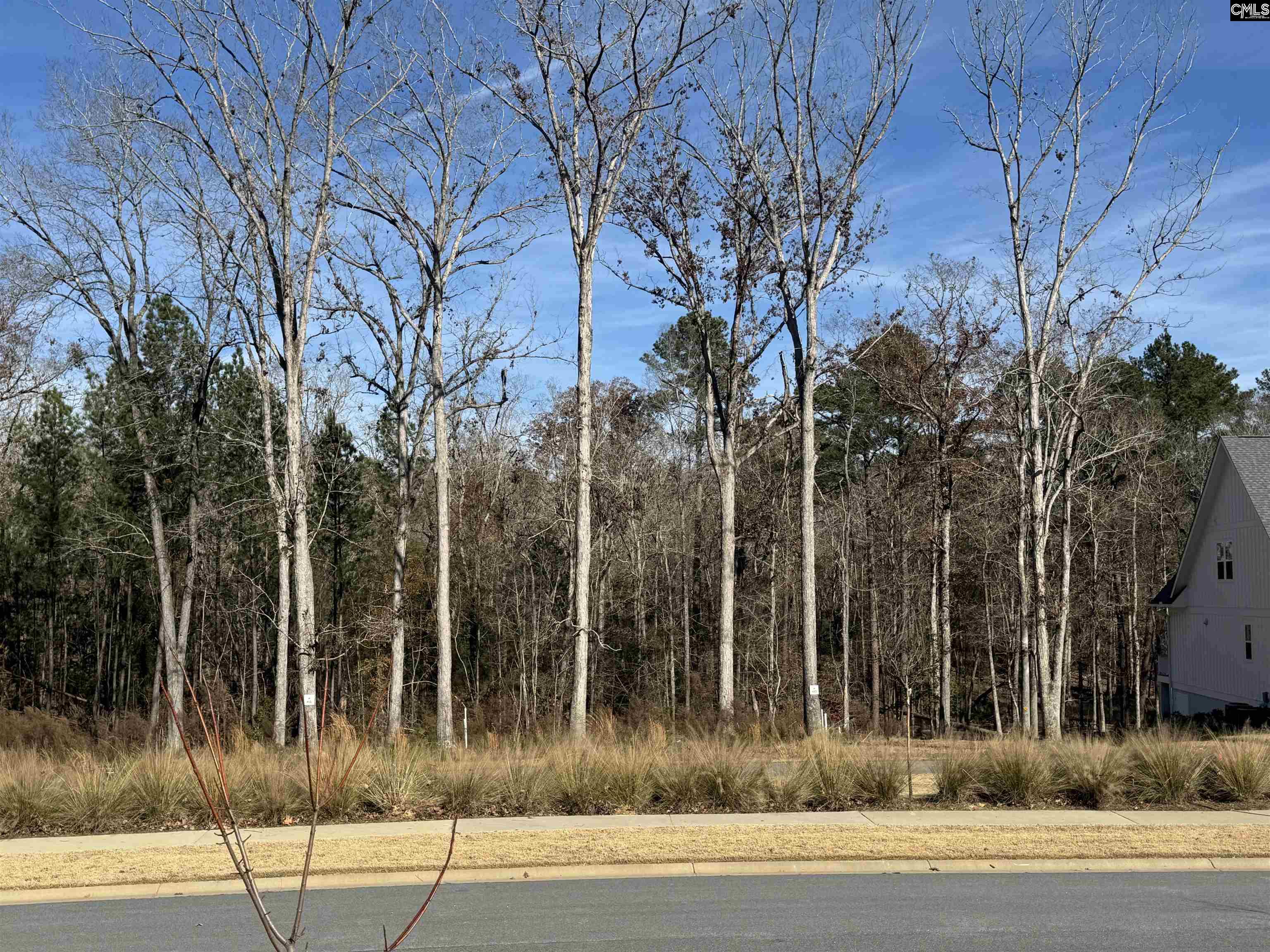 Lot 40 Shoreview Drive UNIT Lot 40 Prosperity, SC 29127