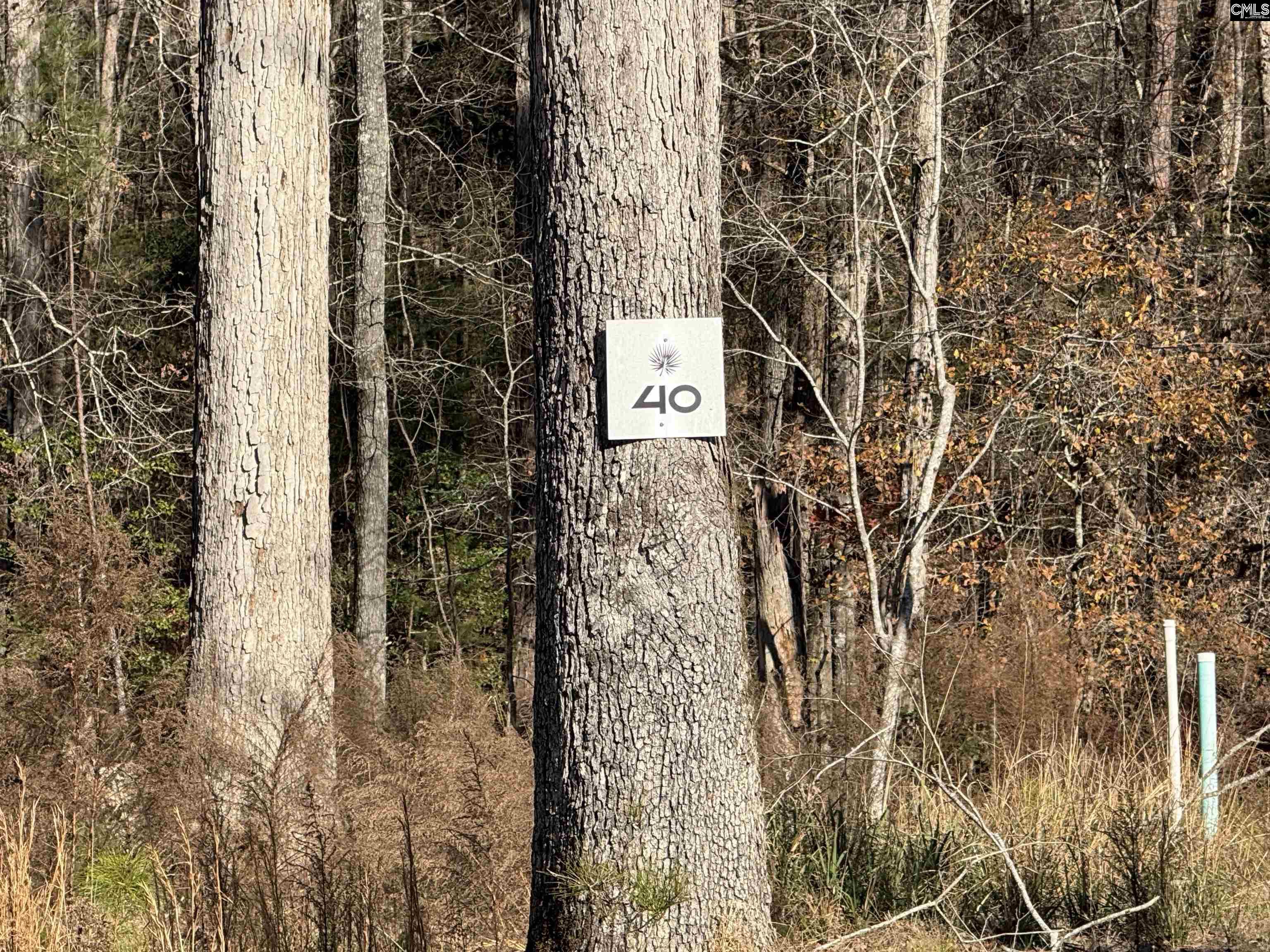Lot 40 Shoreview Drive UNIT Lot 40 Prosperity, SC 29127