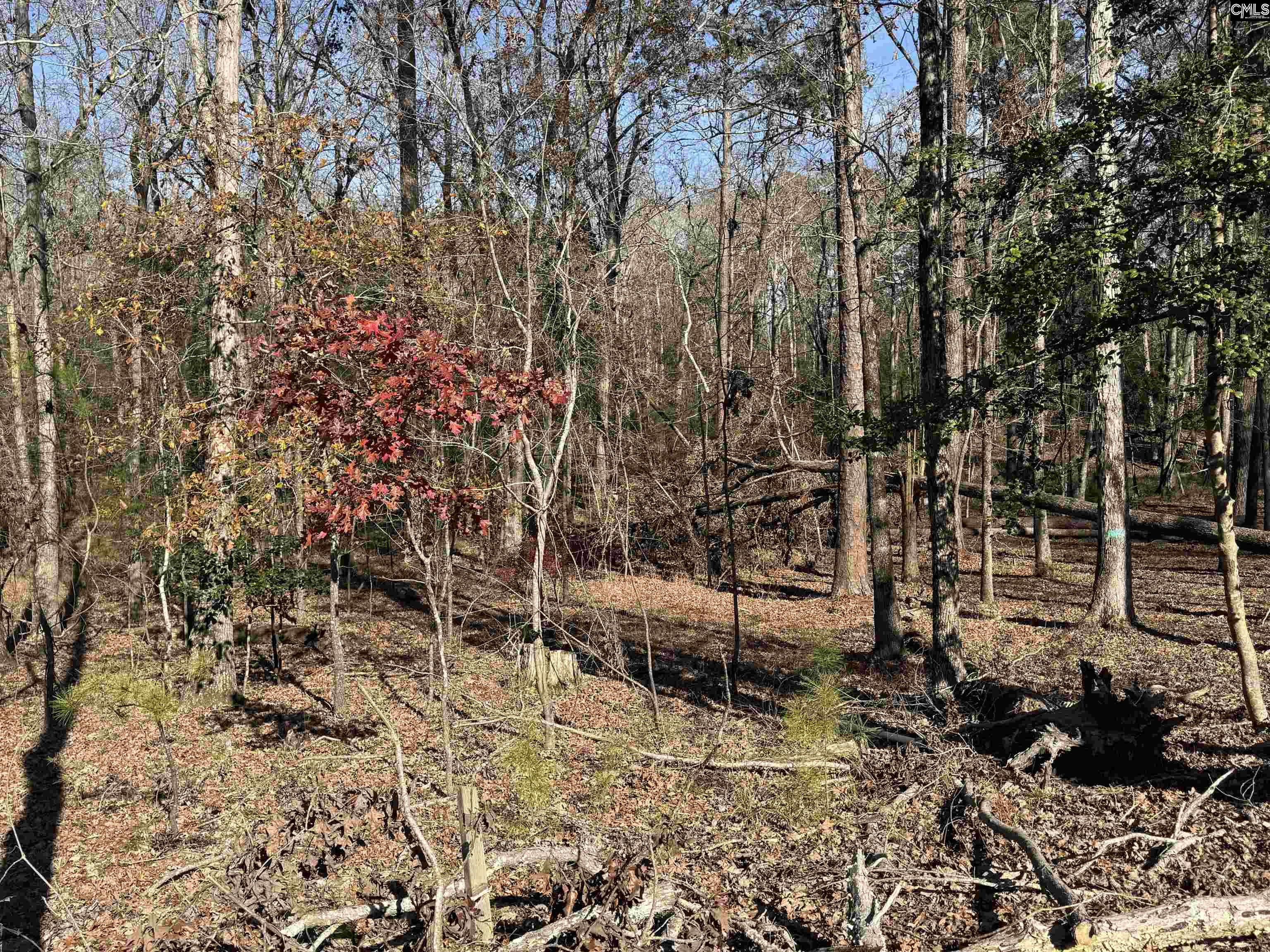 Lot 40 Shoreview Drive UNIT Lot 40 Prosperity, SC 29127