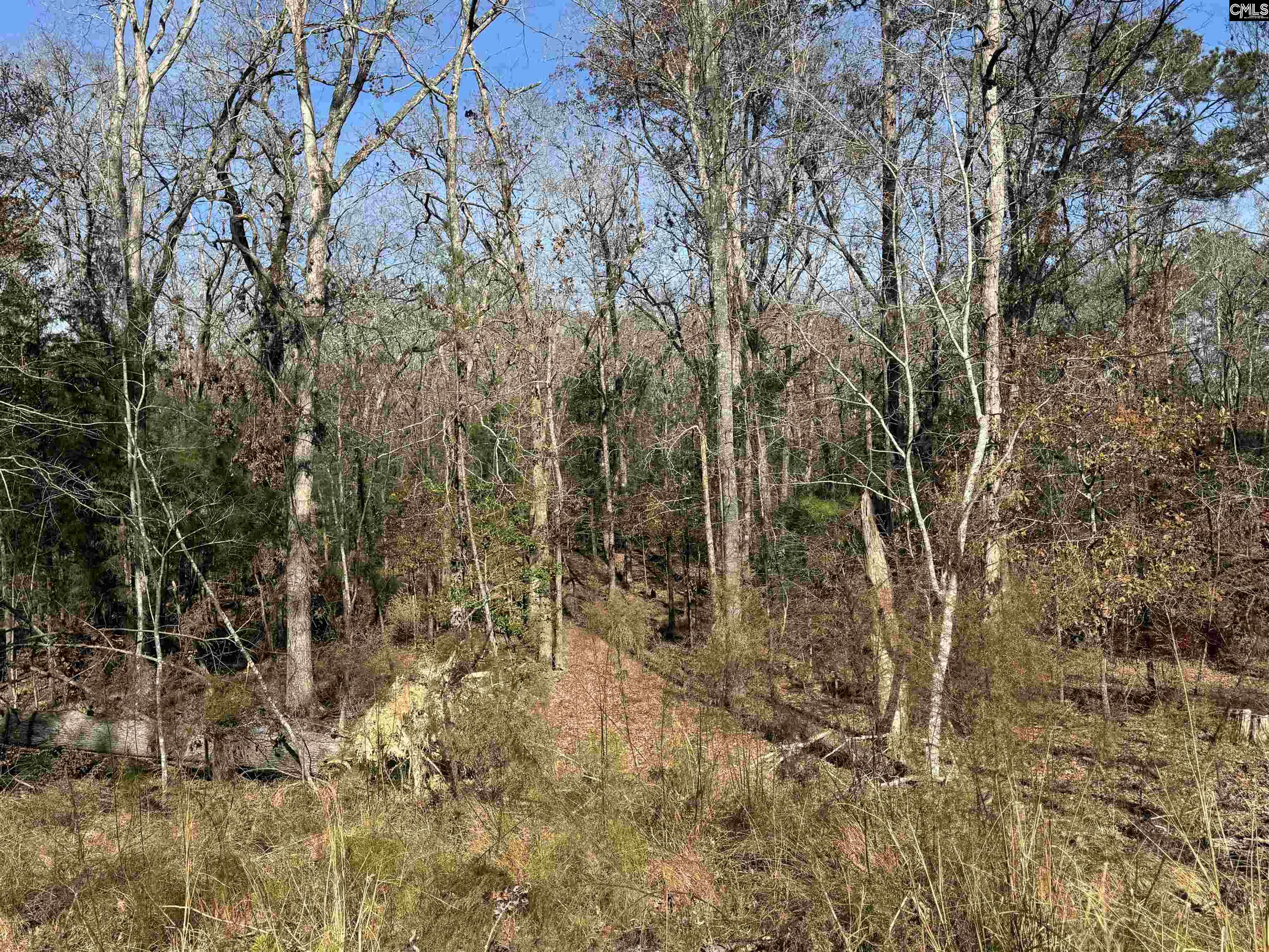 Lot 40 Shoreview Drive UNIT Lot 40 Prosperity, SC 29127