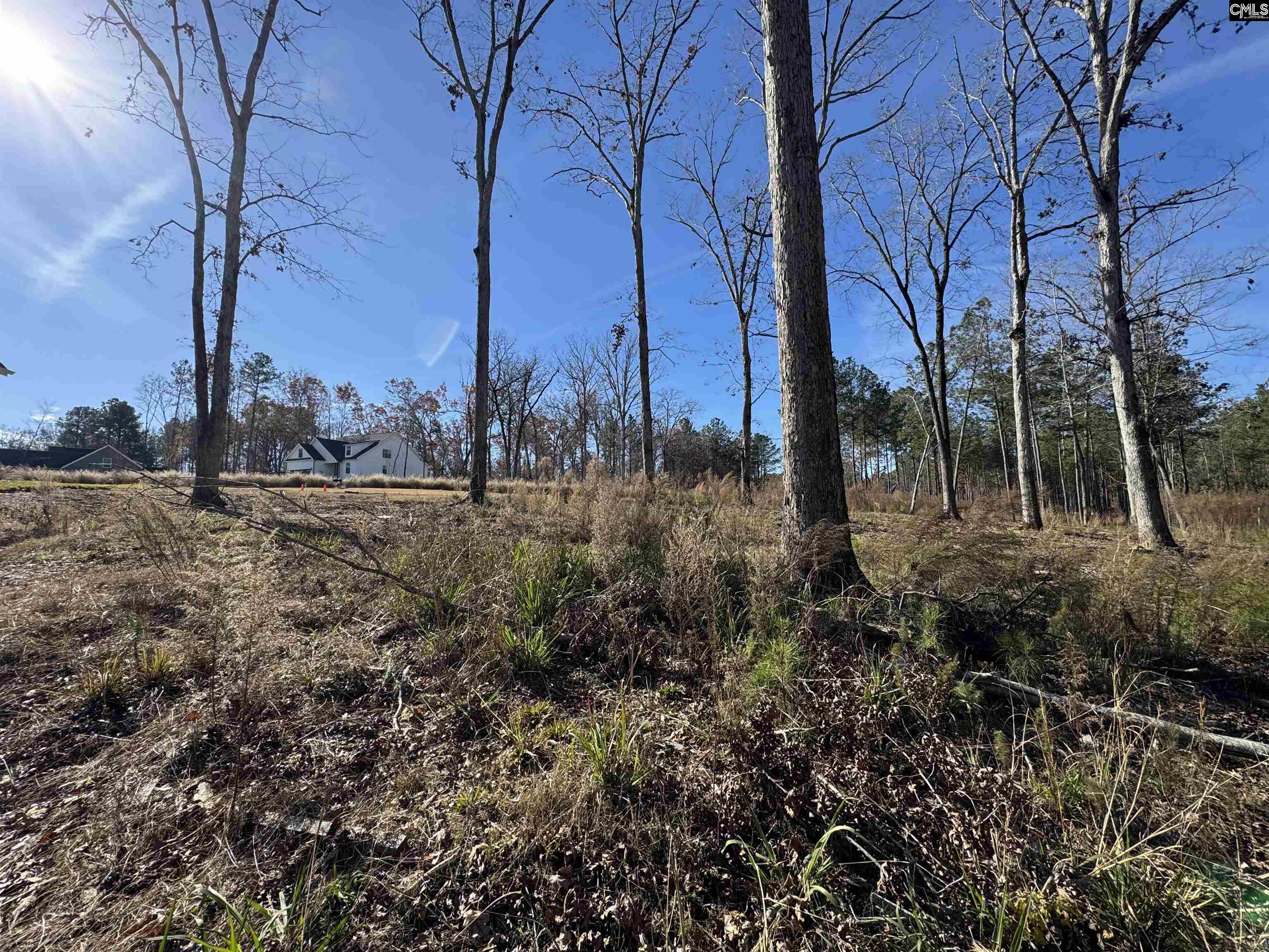 Lot 40 Shoreview Drive UNIT Lot 40 Prosperity, SC 29127