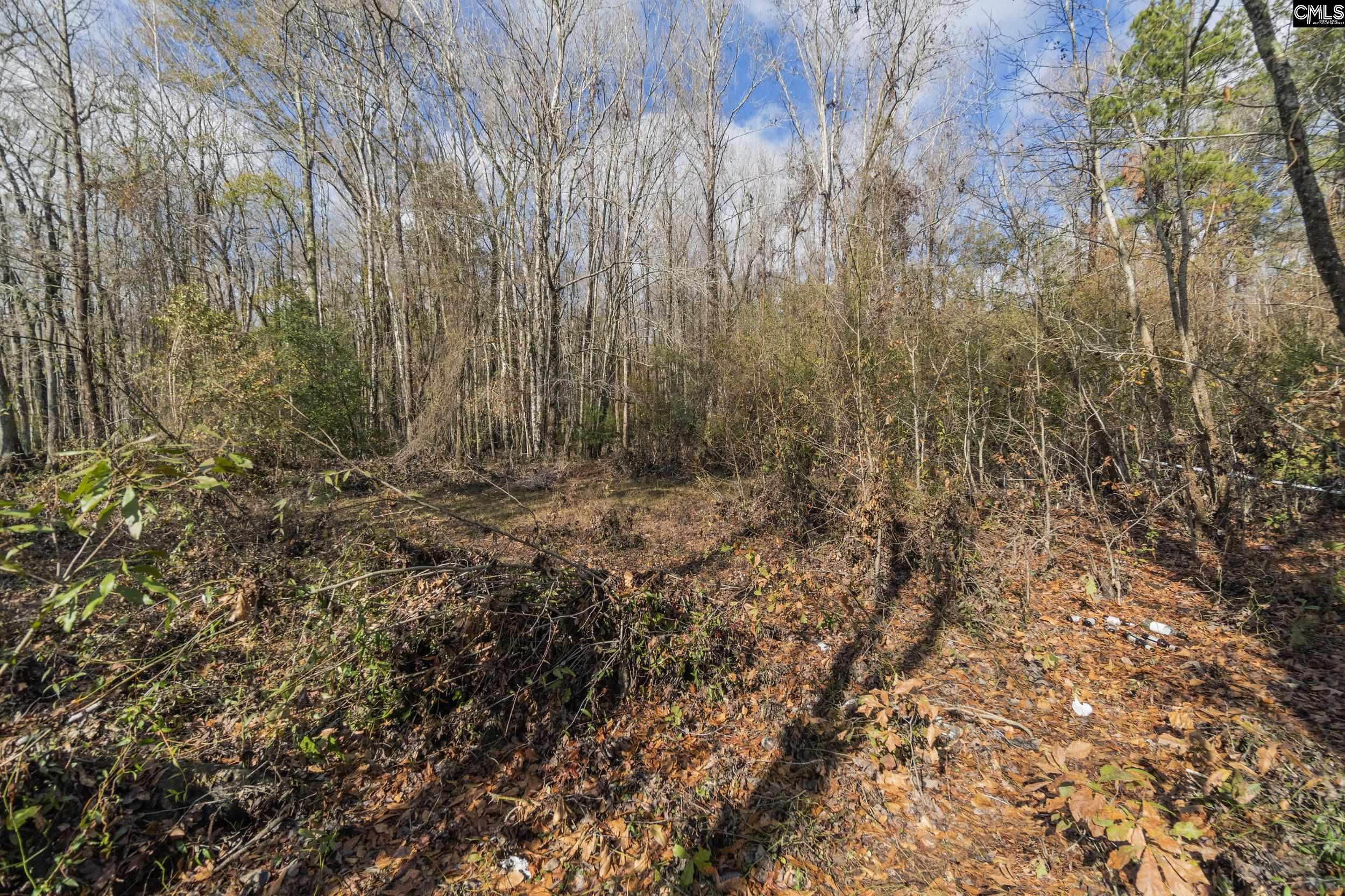 776 Shillings Bridge Road Orangeburg, SC 29118