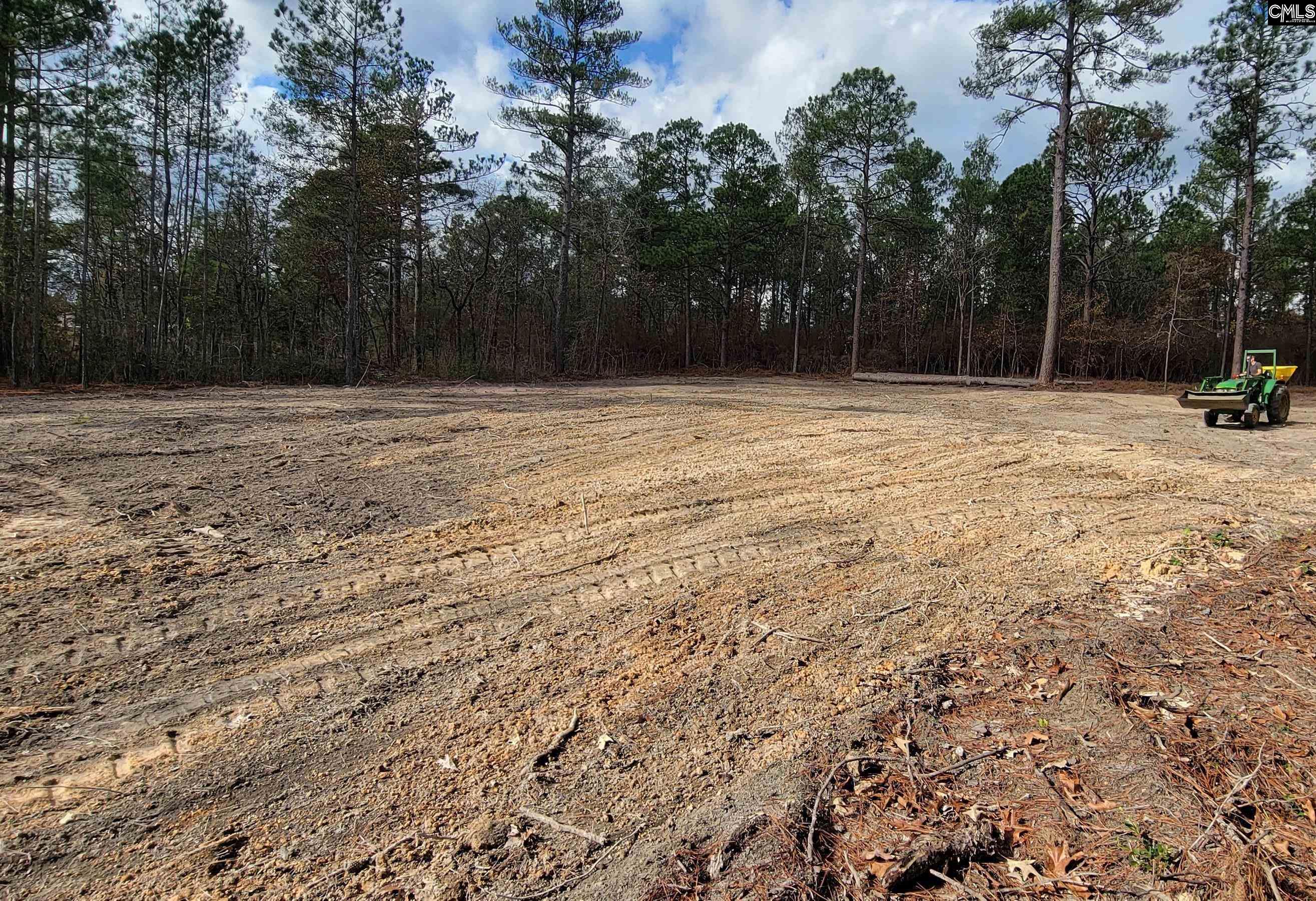 Donald Drive, Lexington, South Carolina image 3
