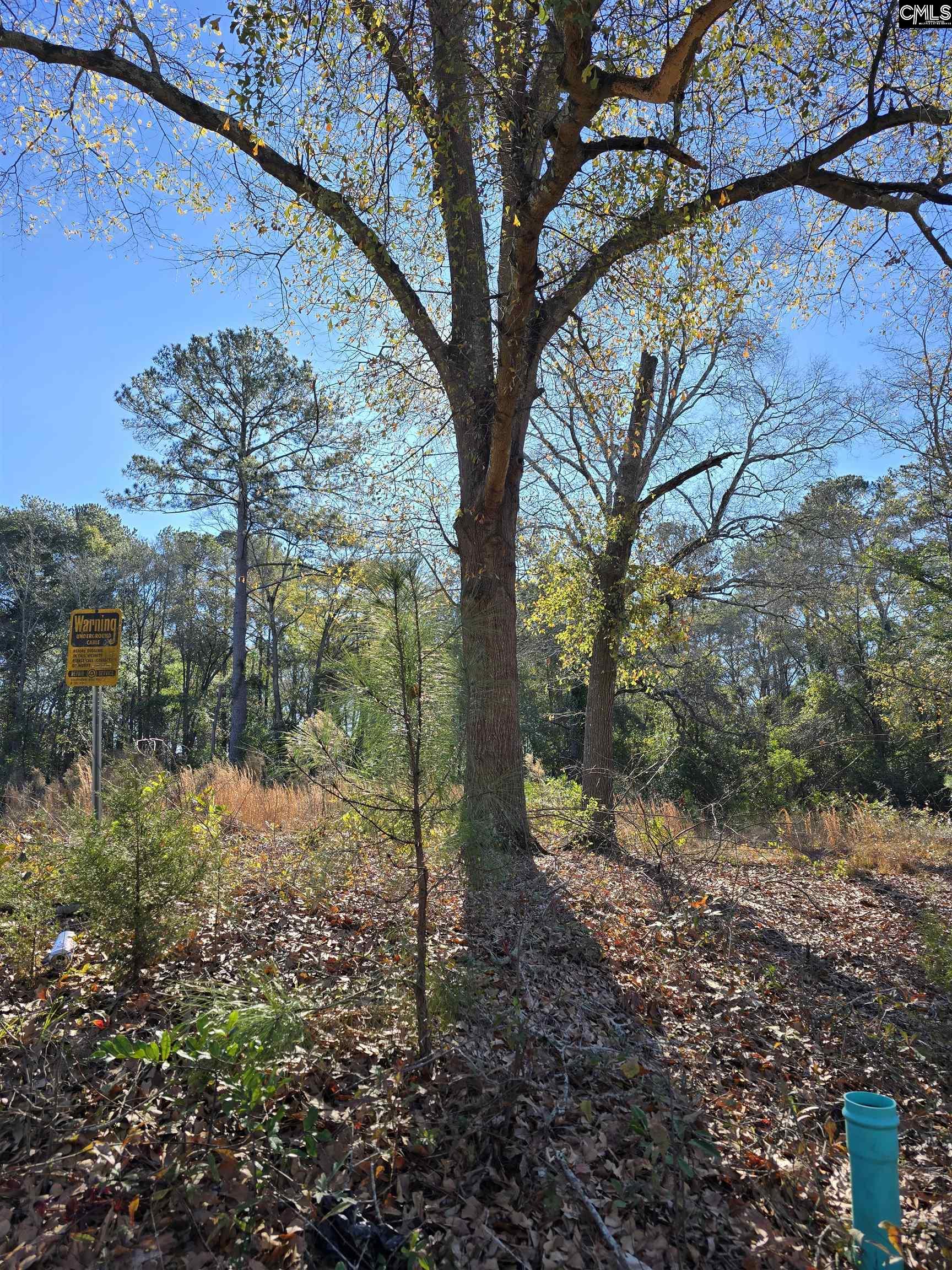 0 Lot 7 Popular Street, Cayce, South Carolina image 1