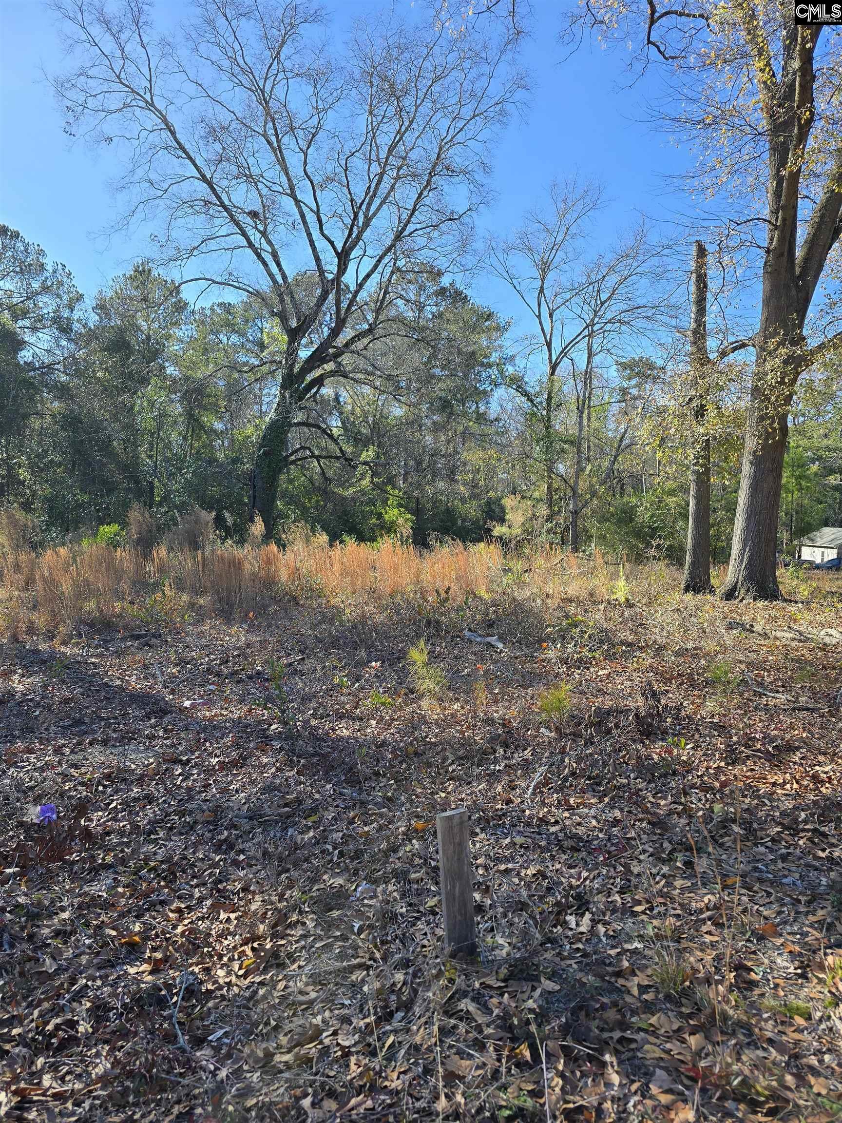 0 Lot 7 Popular Street, Cayce, South Carolina image 2