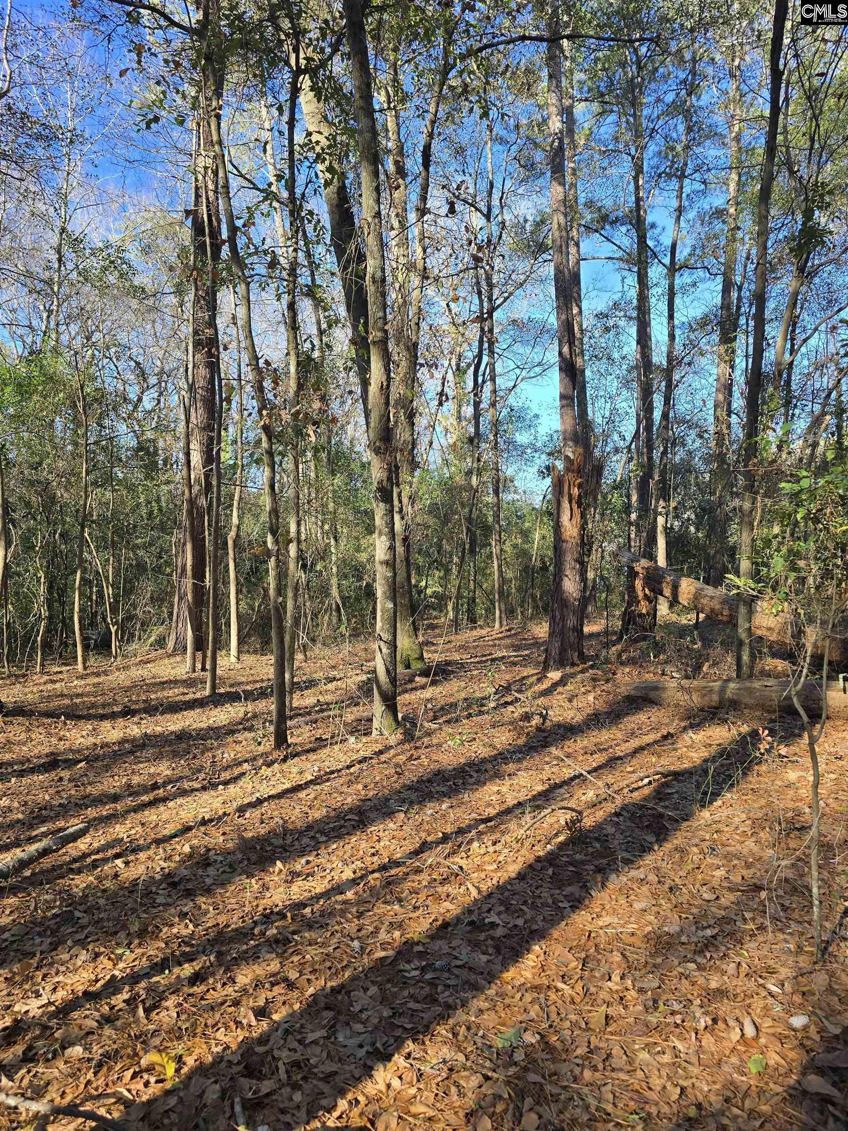 Popular Lot 7b Street Cayce, SC 29033