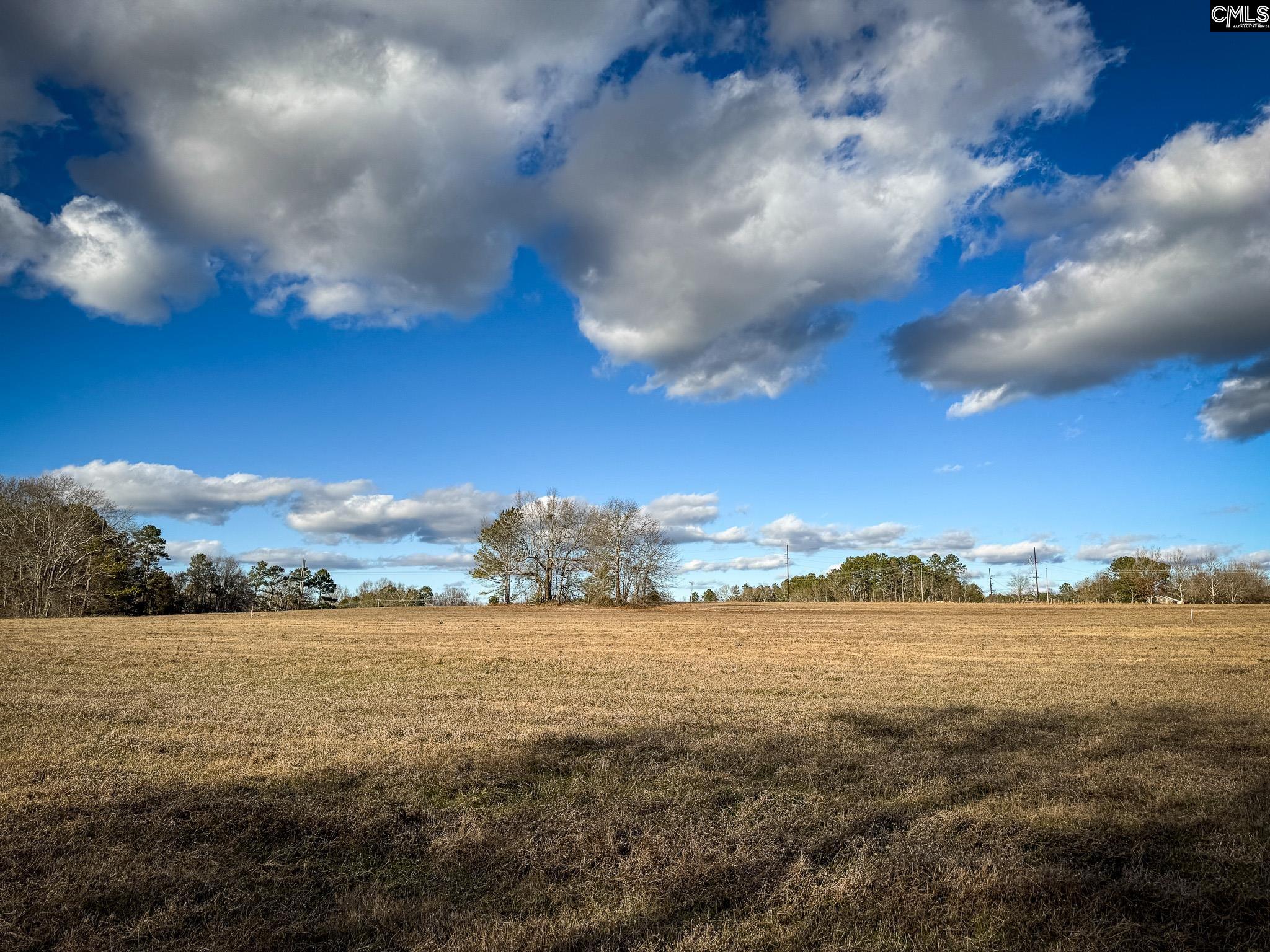 120 Briarwood Road #LOT 3, Leesville, South Carolina image 3