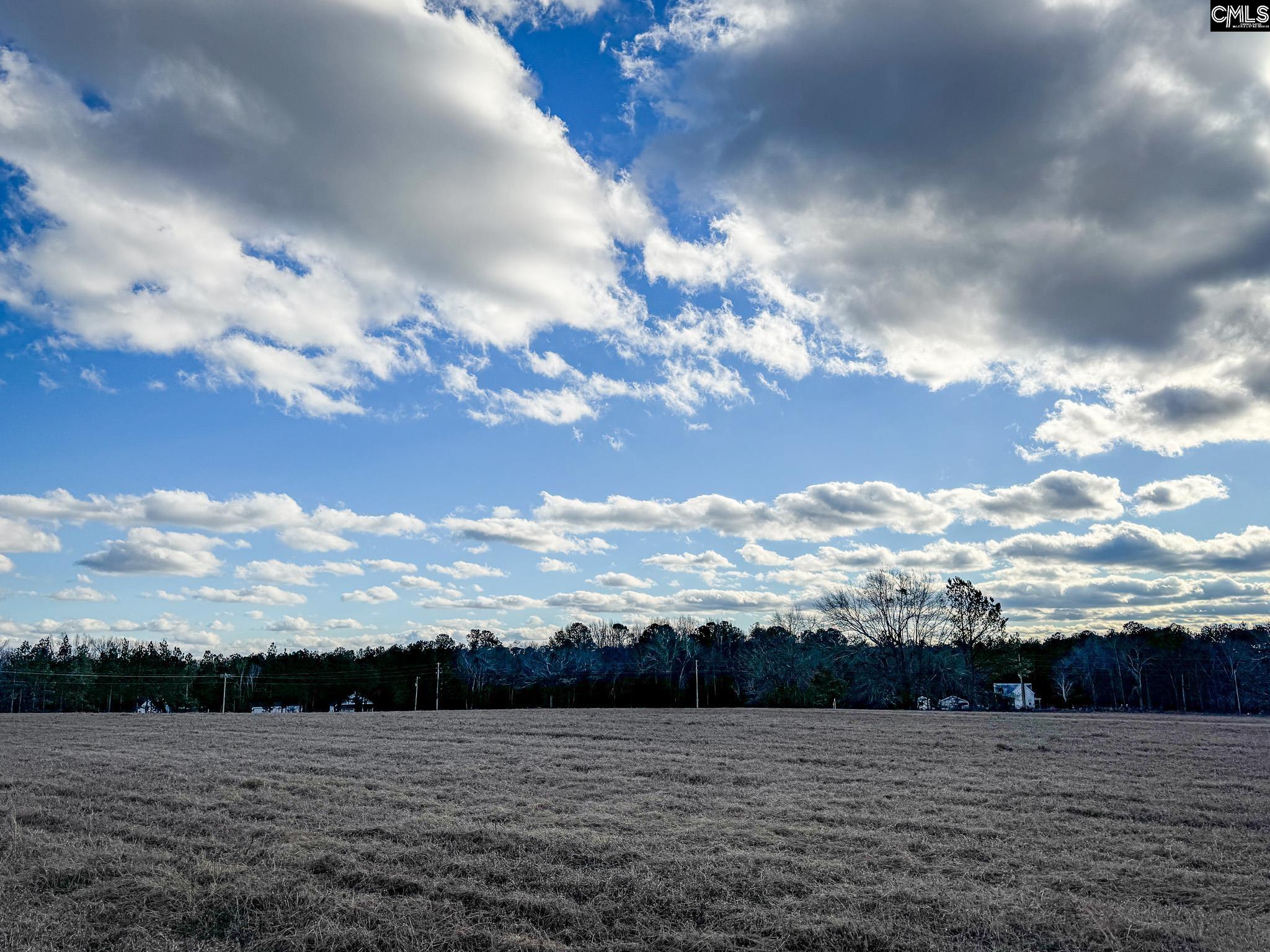 120 Briarwood Road #LOT 3, Leesville, South Carolina image 10