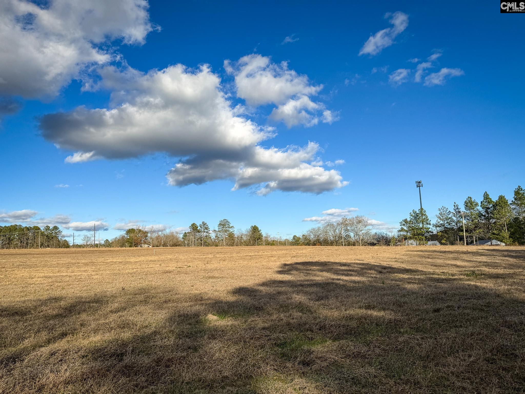 120 Briarwood Road #LOT 4, Leesville, South Carolina image 2