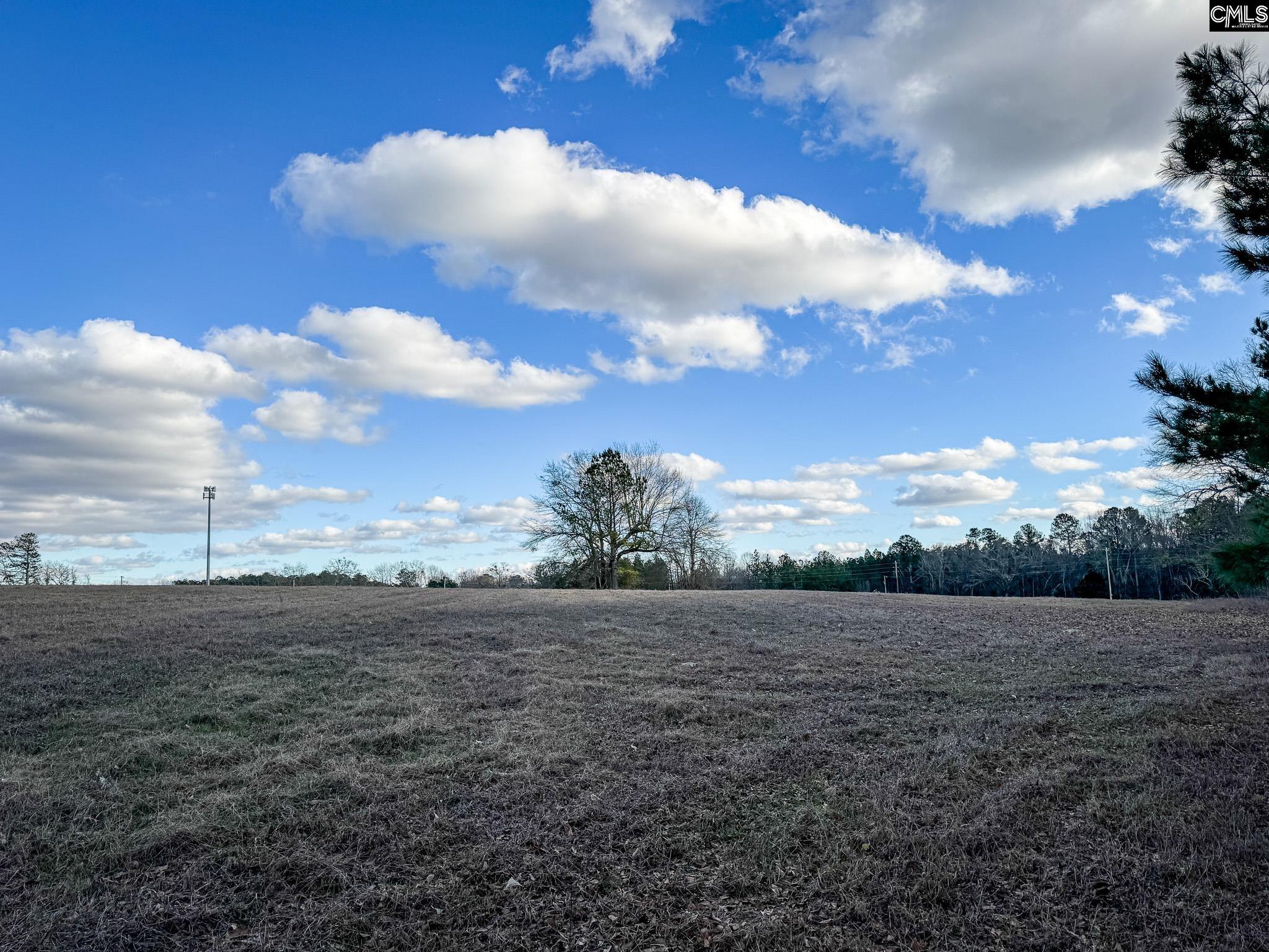 120 Briarwood Road #LOT 5, Leesville, South Carolina image 12