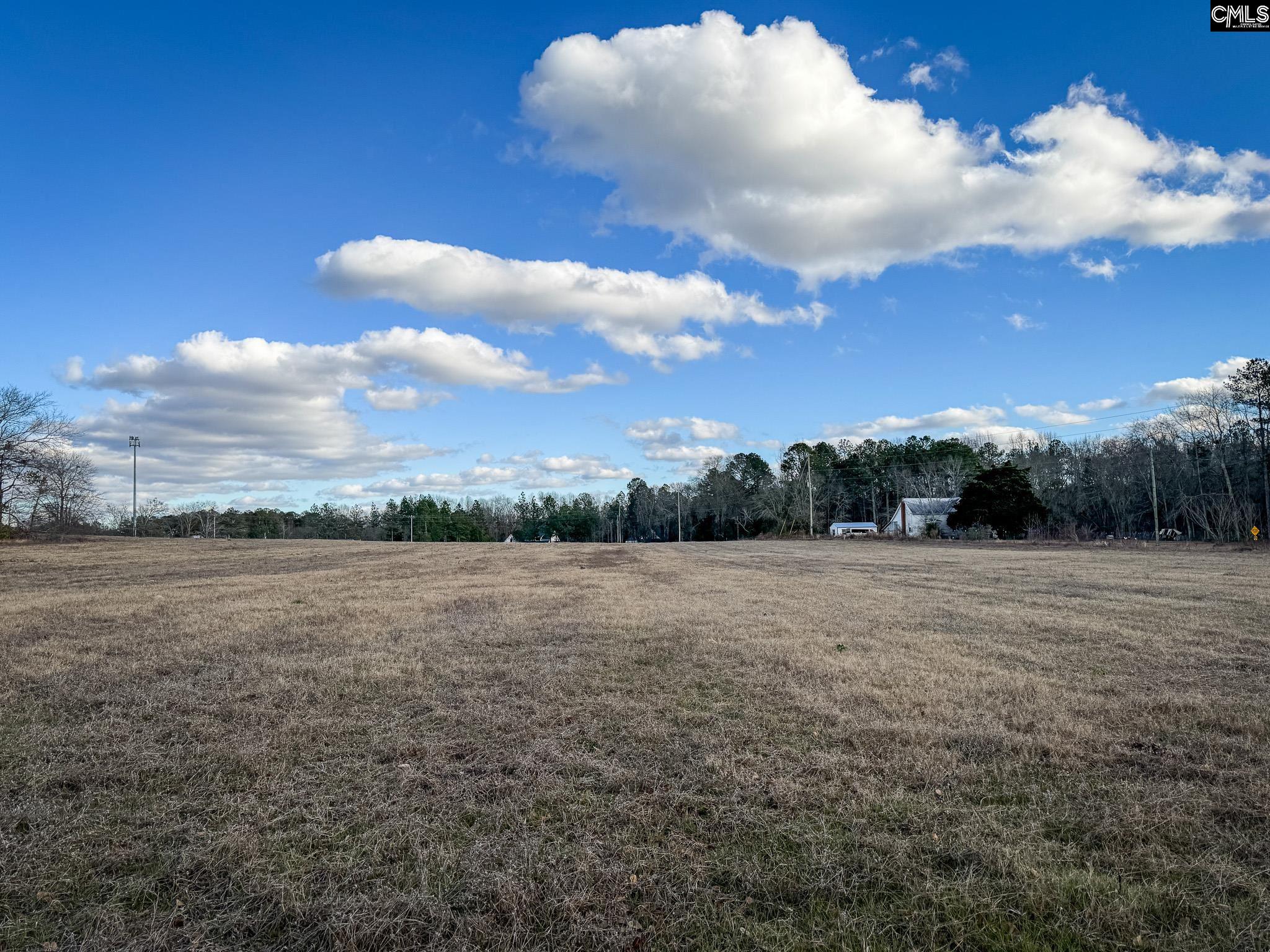 120 Briarwood Road #LOT 5, Leesville, South Carolina image 13