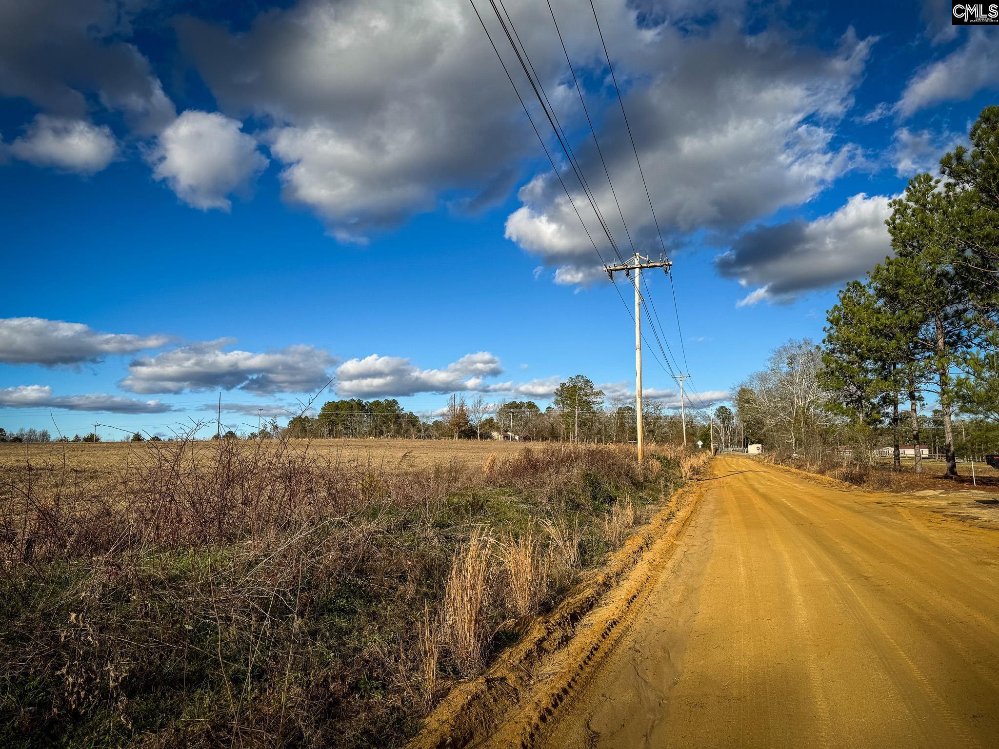 120 Briarwood Road #LOT 5, Leesville, South Carolina image 4