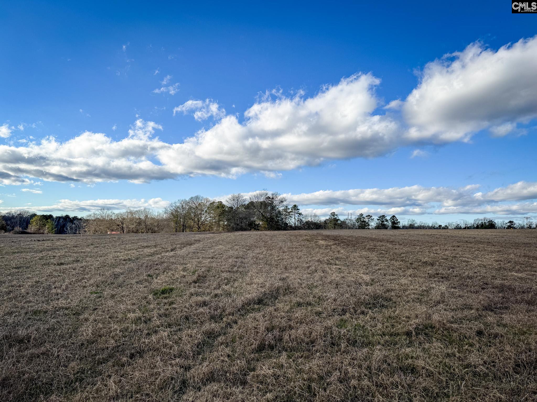 120 Briarwood Road #LOT 5, Leesville, South Carolina image 7