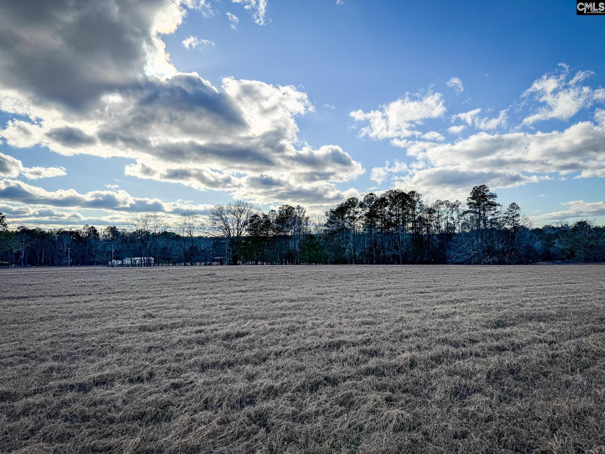120 Briarwood Road #LOT 5, Leesville, South Carolina image 9