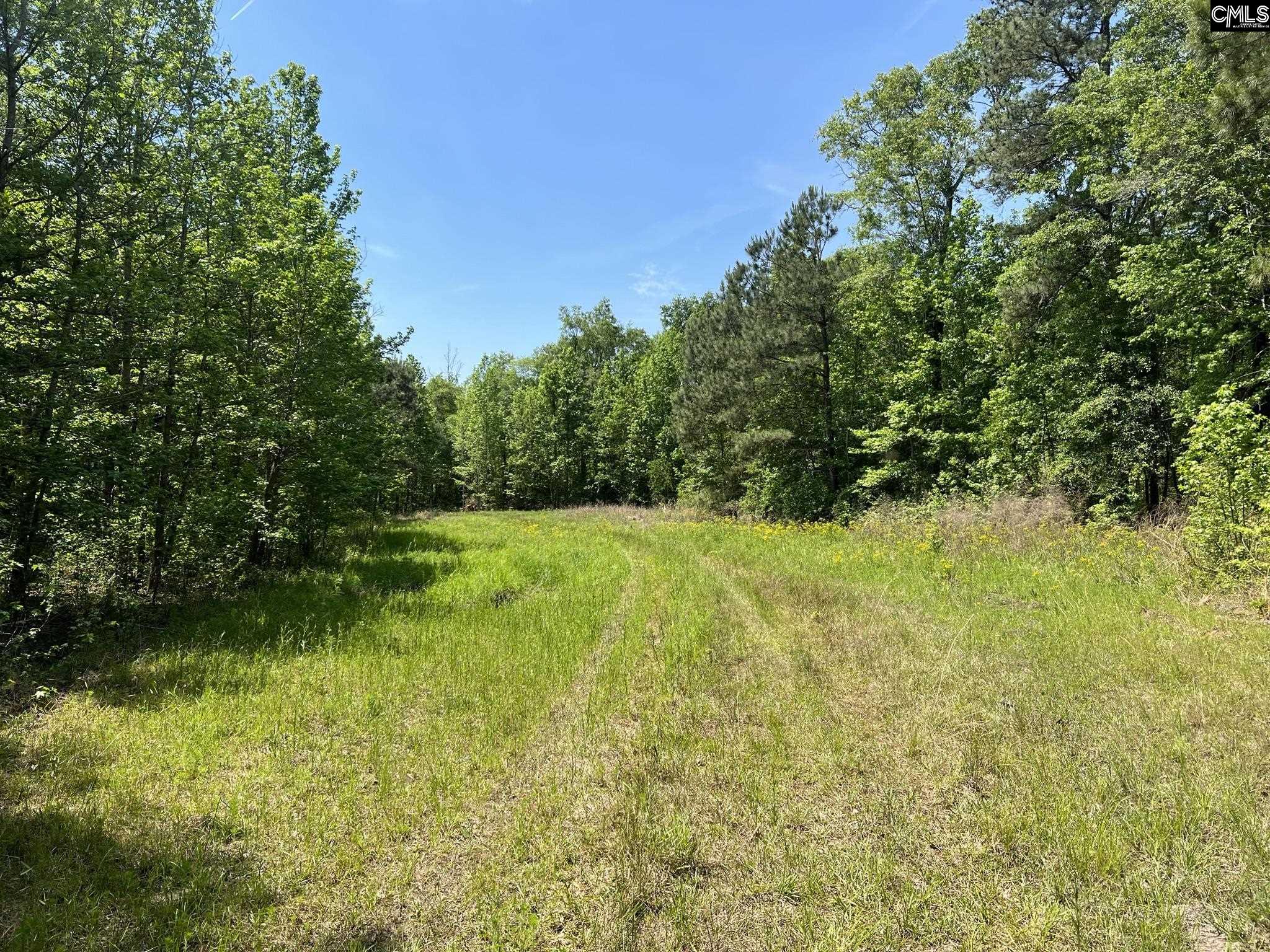 2000 Springfield Road Springfield, SC 29147
