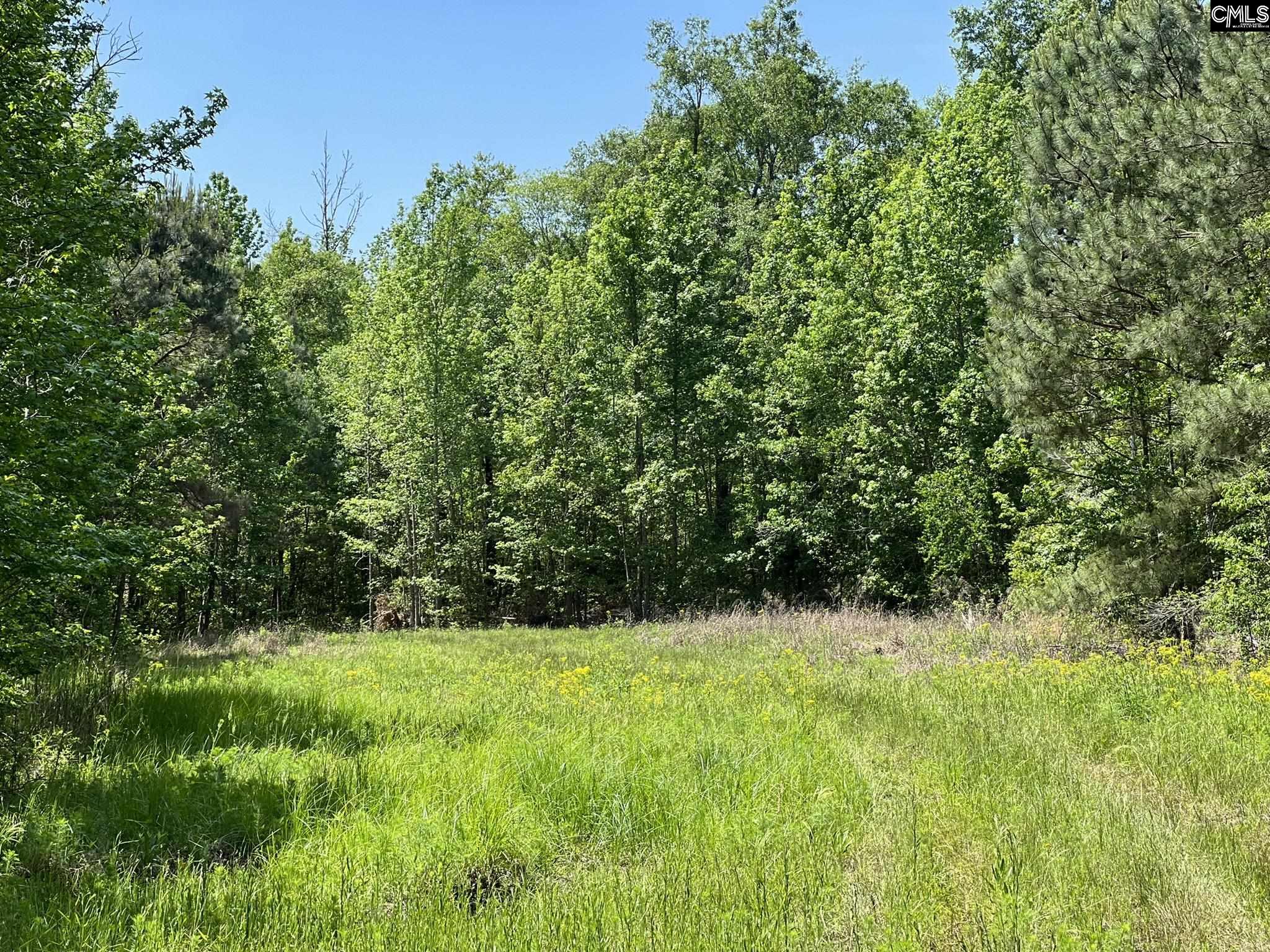 2000 Springfield Road Springfield, SC 29147