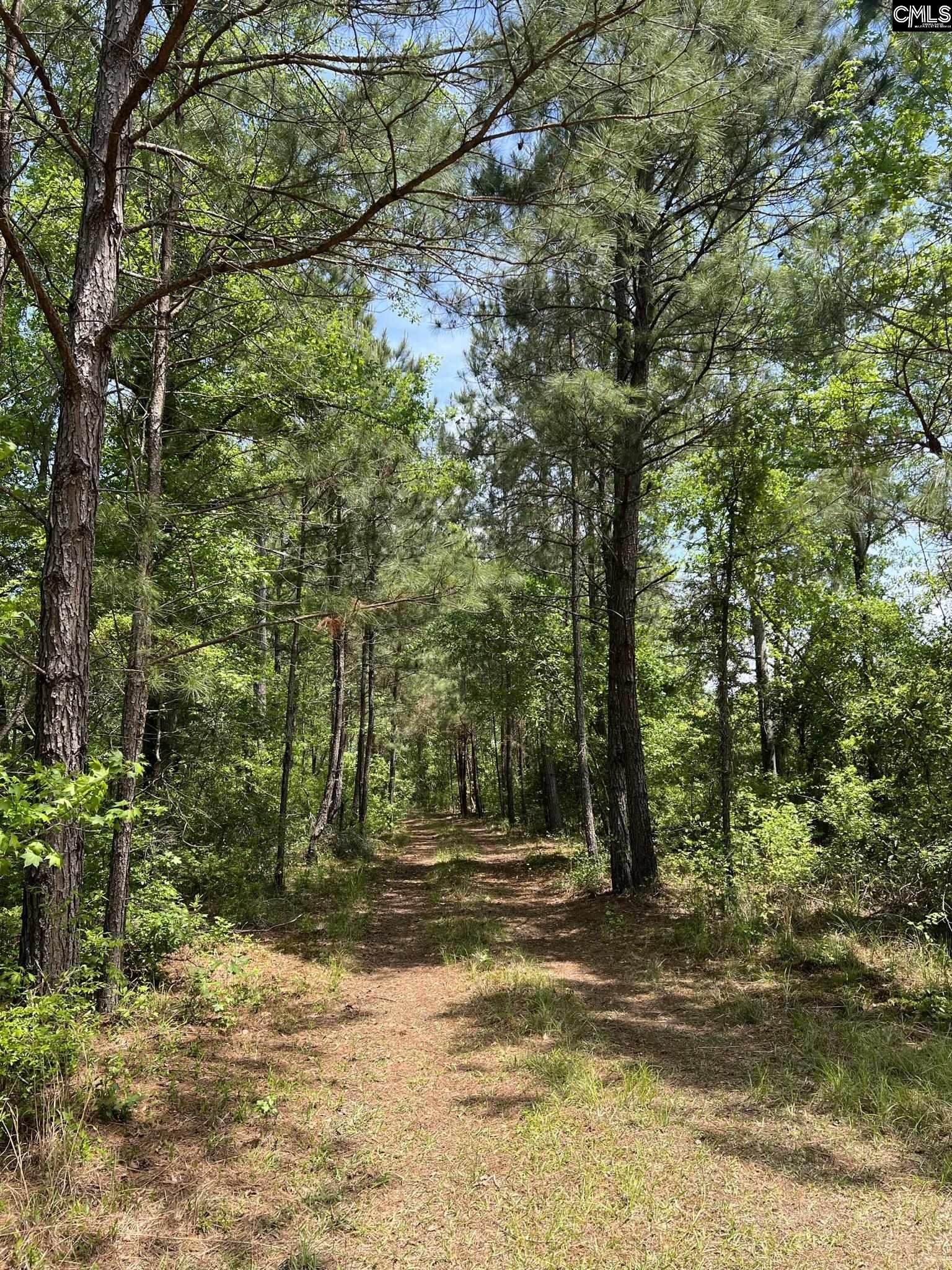2000 Springfield Road Springfield, SC 29147