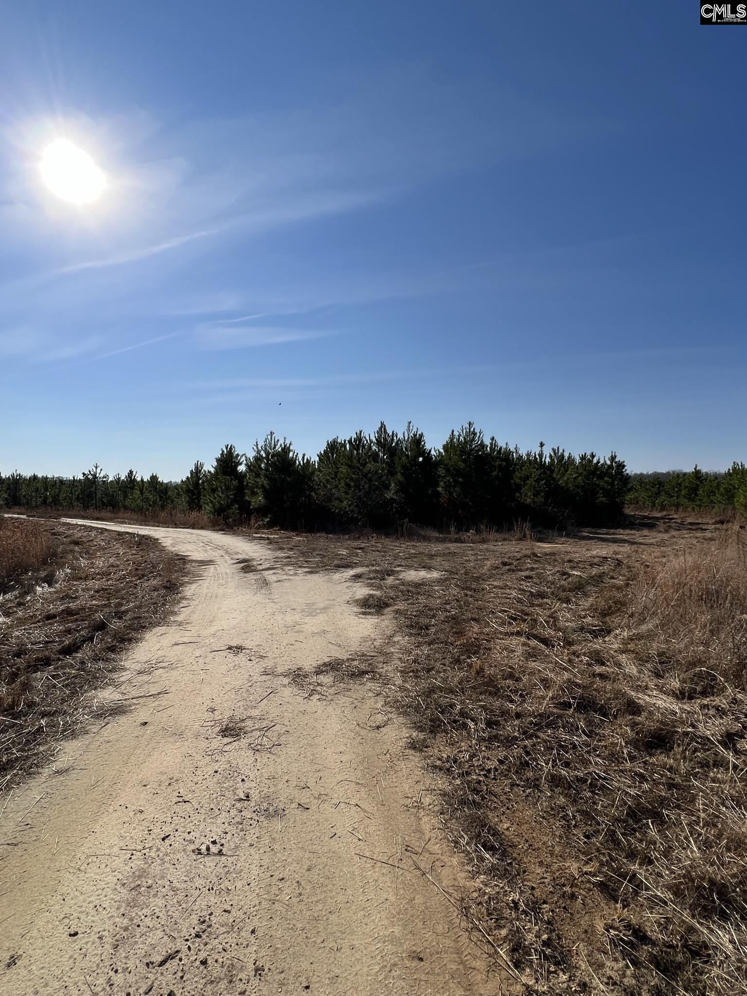 2000 Springfield Road Springfield, SC 29147