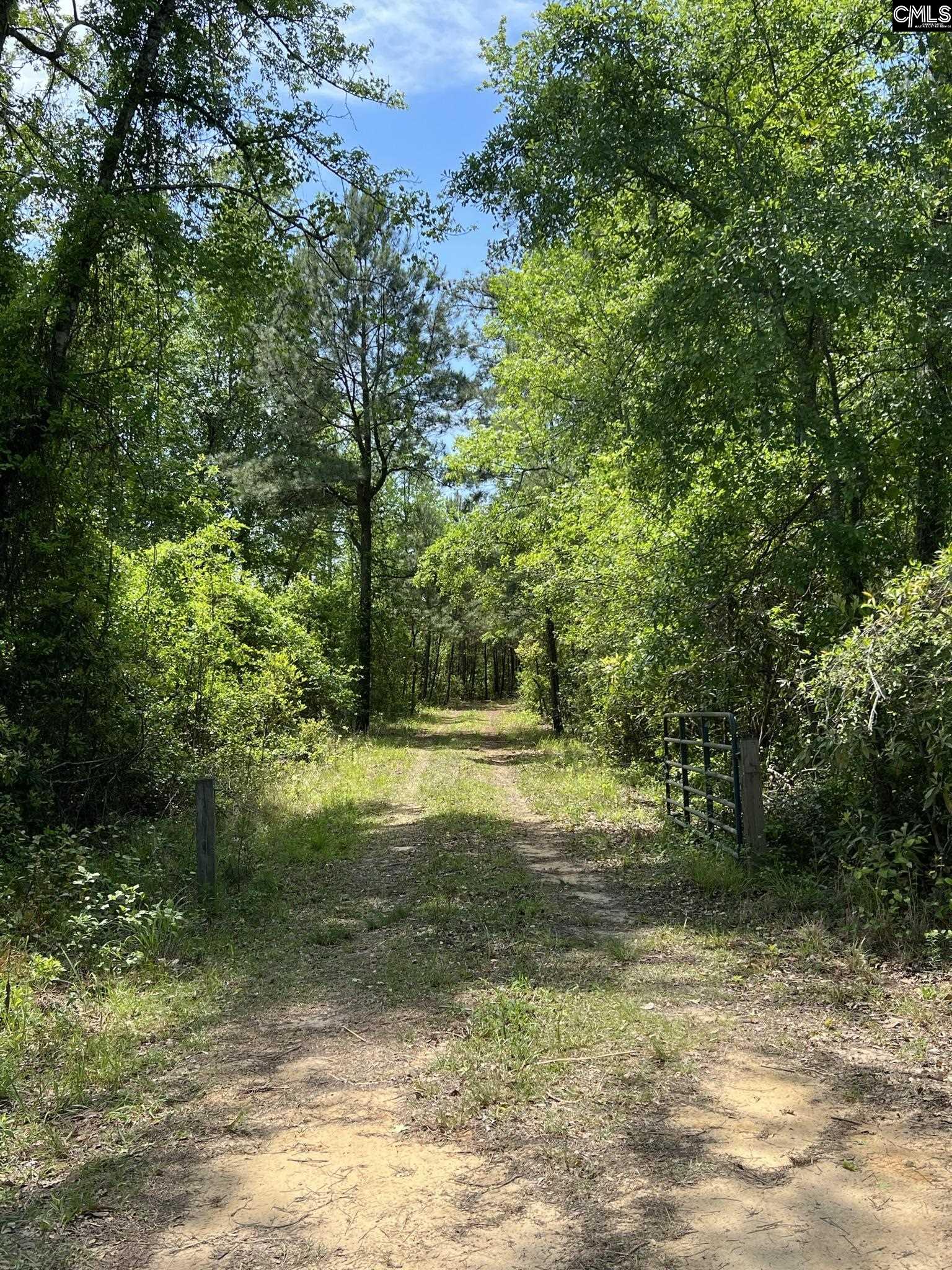 2000 Springfield Road Springfield, SC 29147