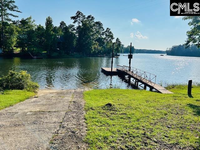 220 Lynch Lane Chapin, SC 29036