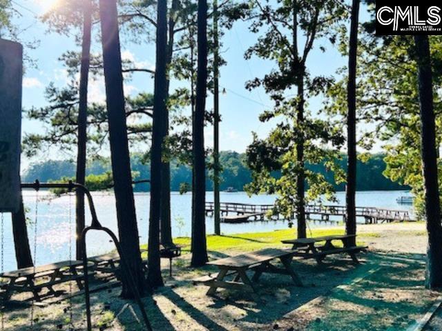 220 Lynch Lane, Chapin, South Carolina image 2