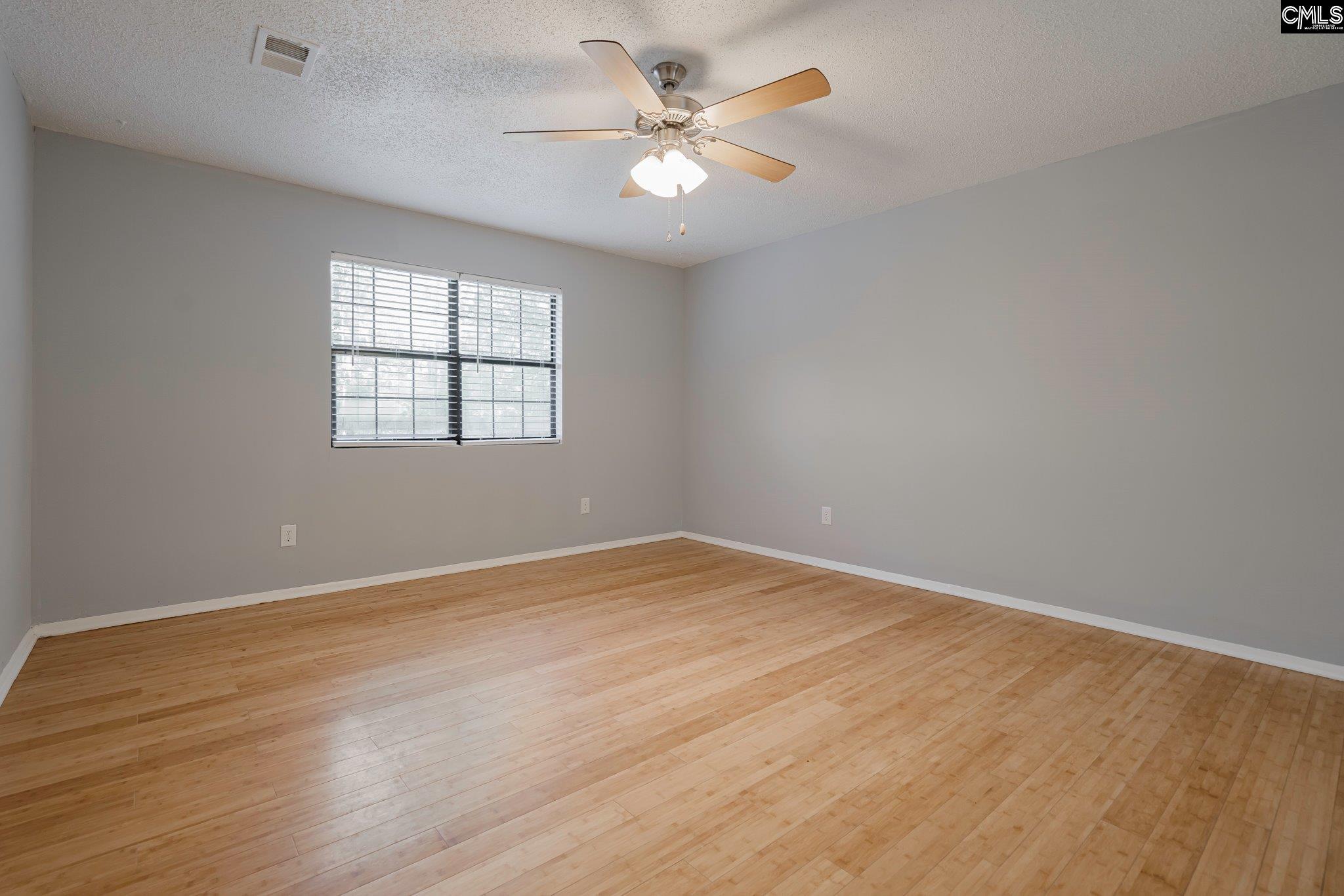 220 Lynch Lane, Chapin, South Carolina image 16