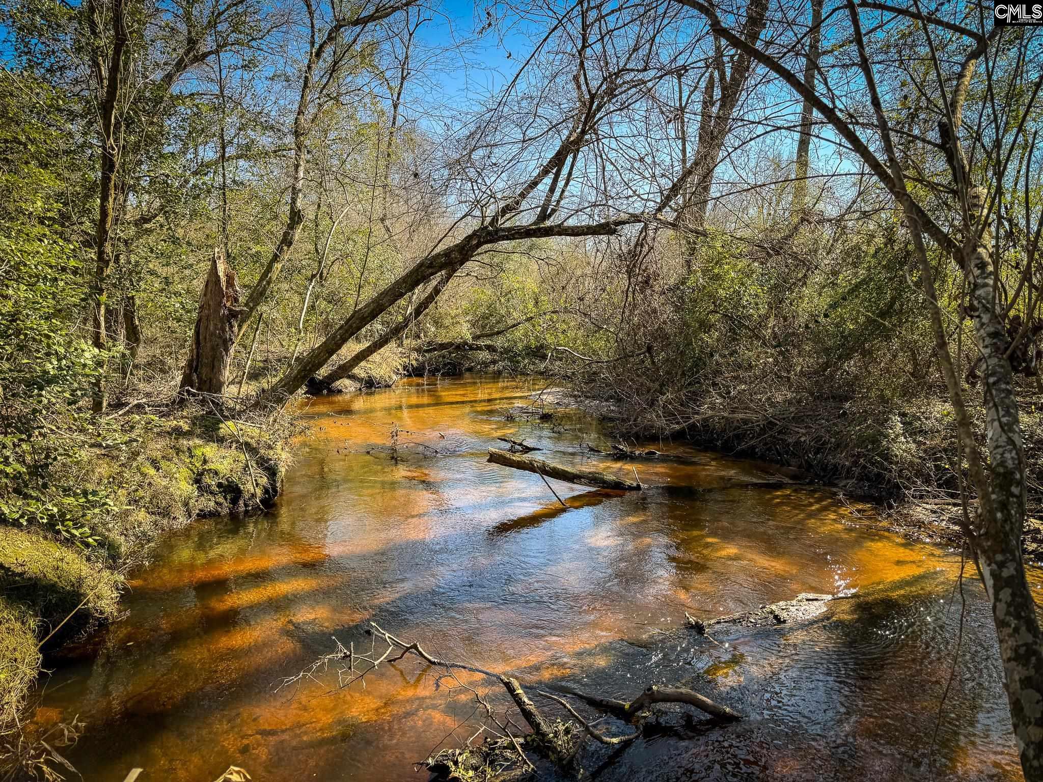 Palomino Road UNIT Lot 17 Leesville, SC 29070