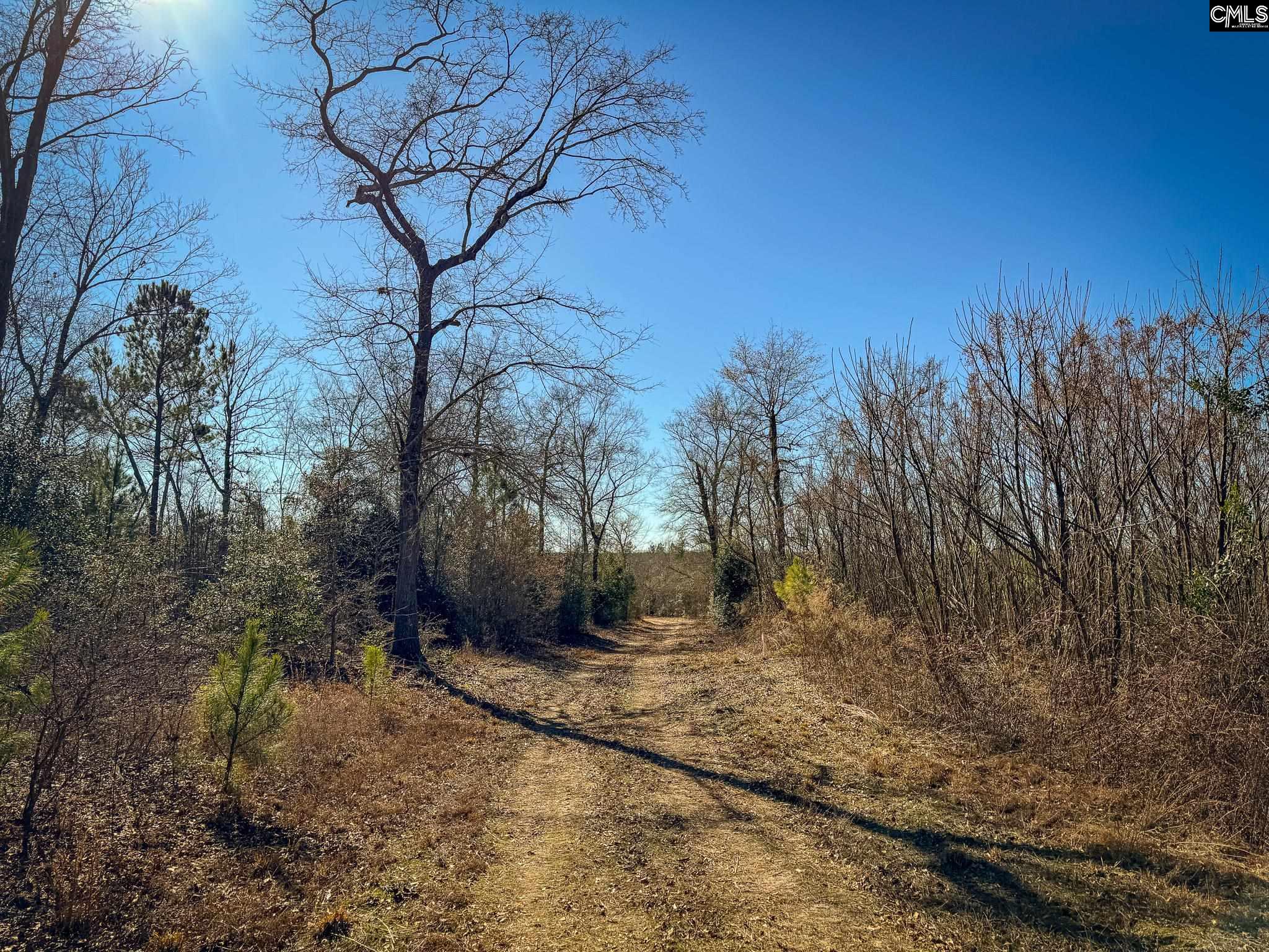 Palomino Road UNIT Lot 17 Leesville, SC 29070