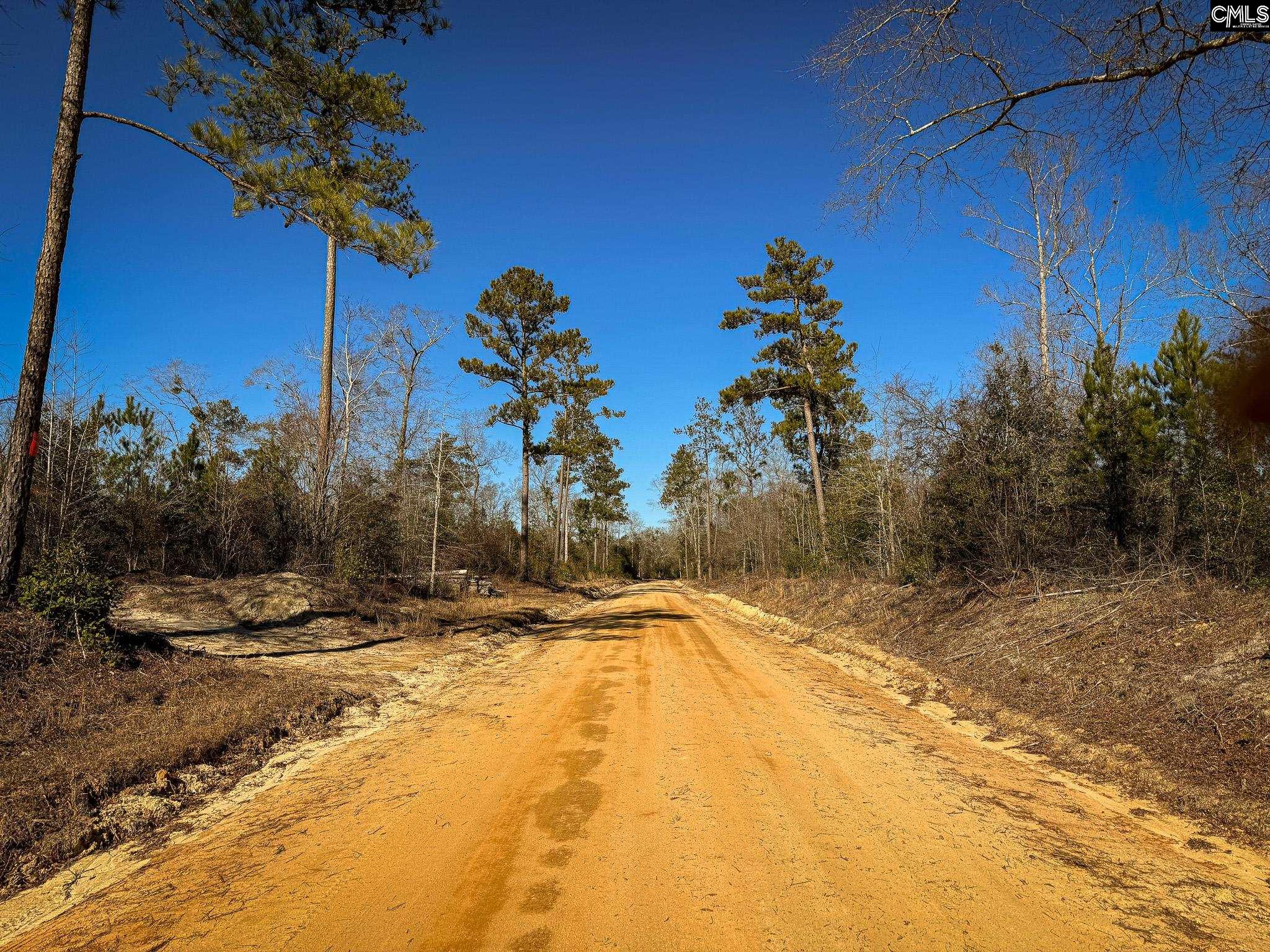 Palomino Road UNIT Lot 17 Leesville, SC 29070