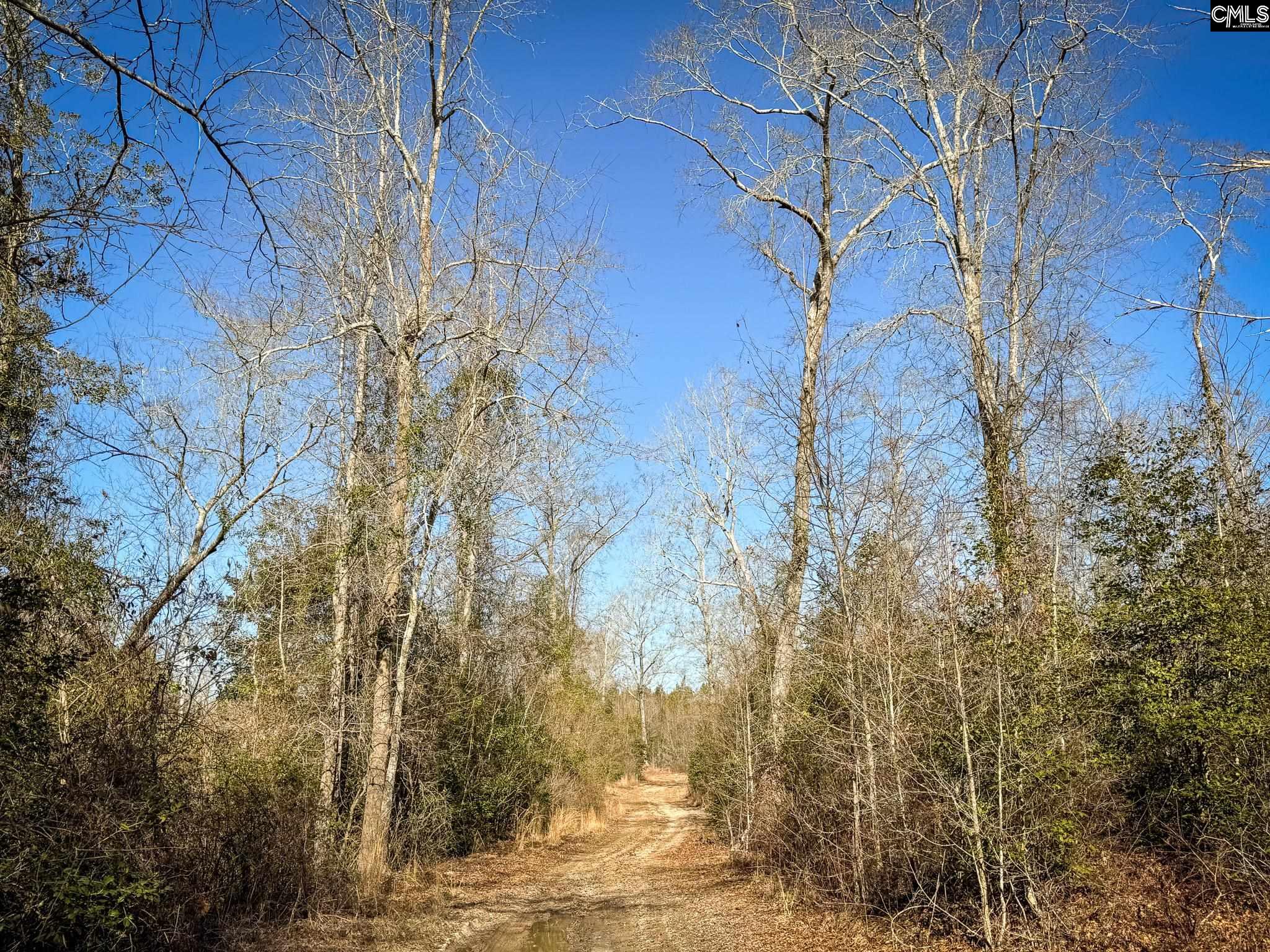 Palomino Road #LOT 17, Leesville, South Carolina image 6