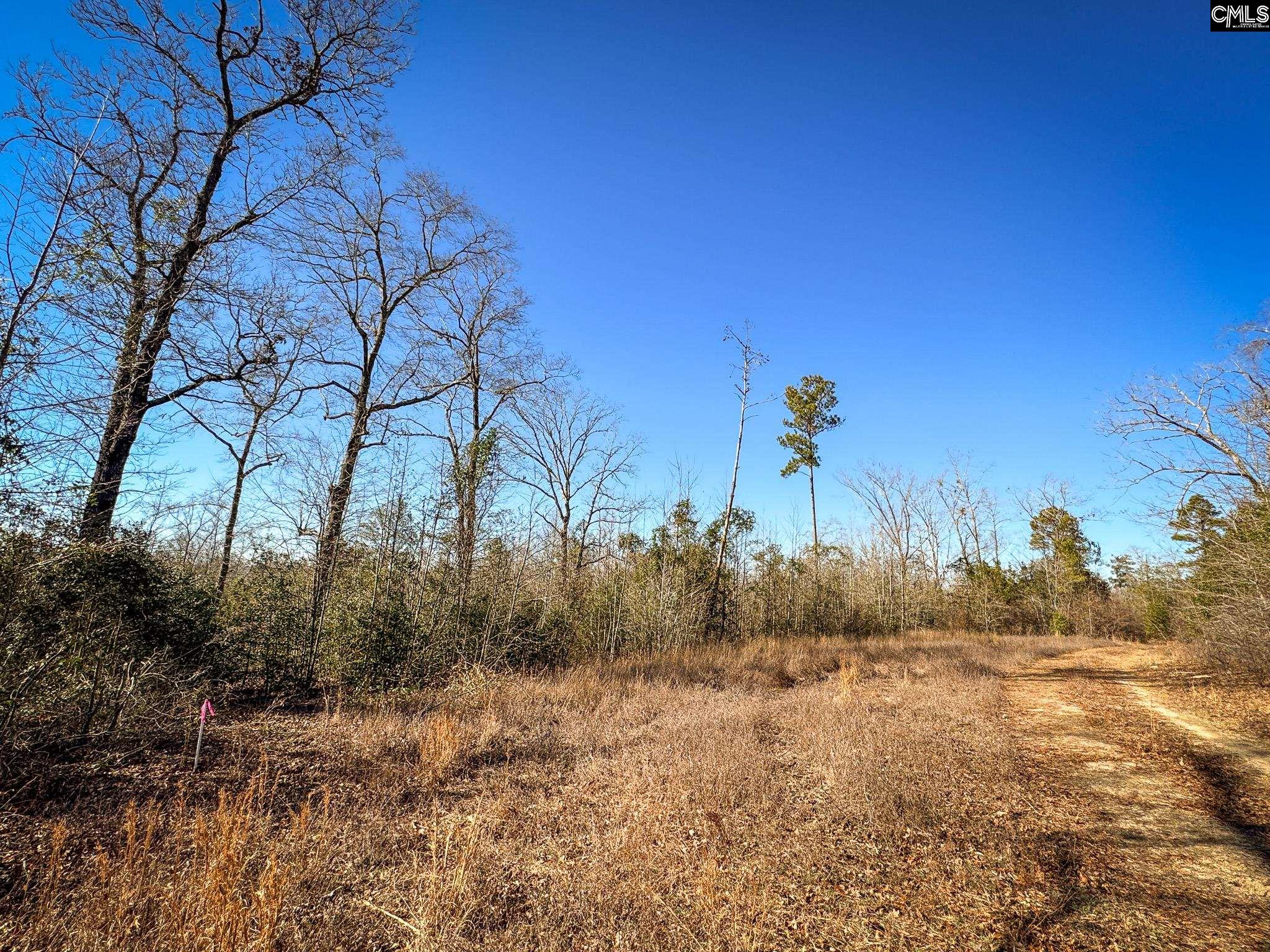Palomino Road UNIT Lot 17 Leesville, SC 29070