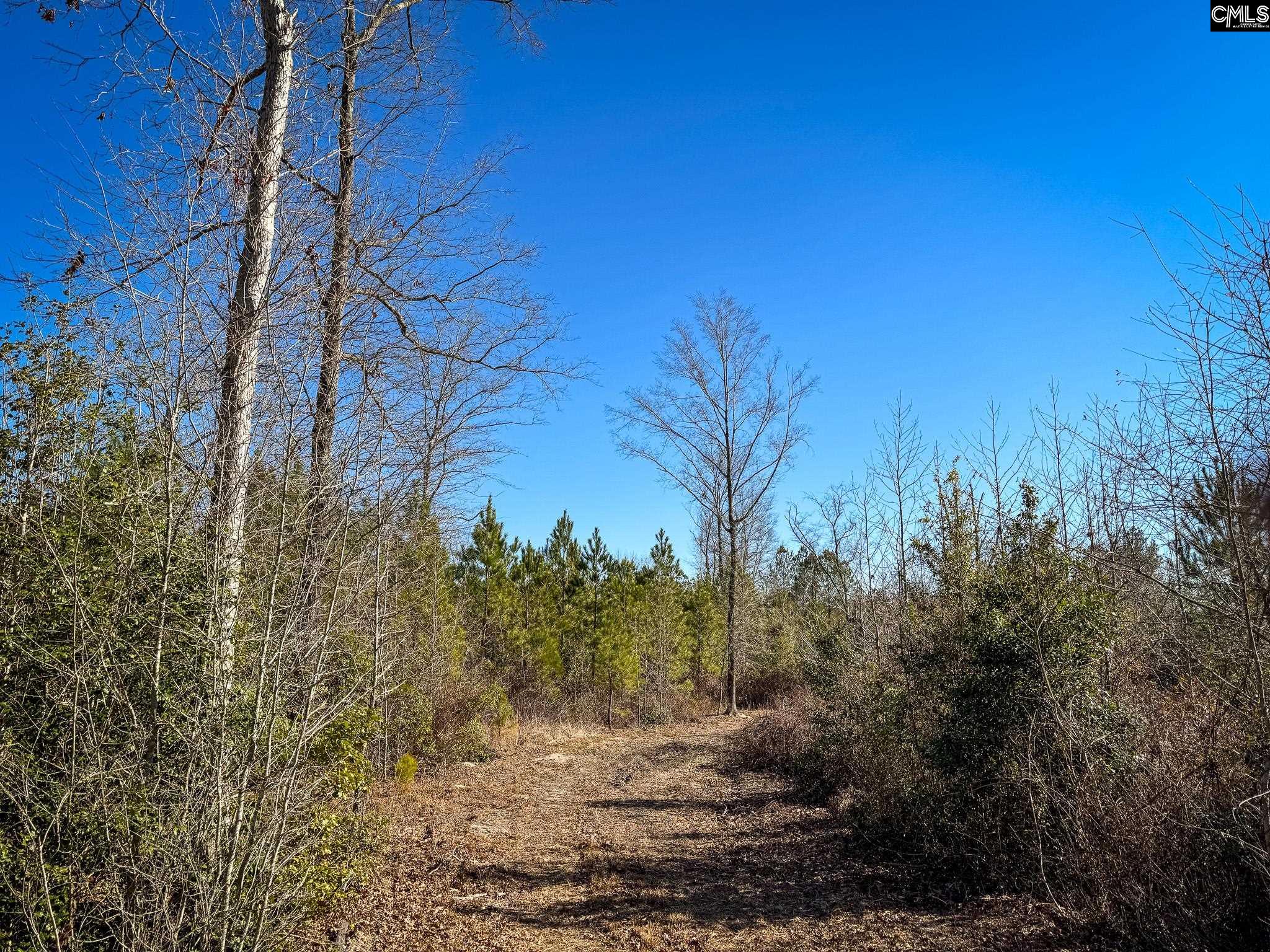 Palomino Road UNIT Lot 17 Leesville, SC 29070