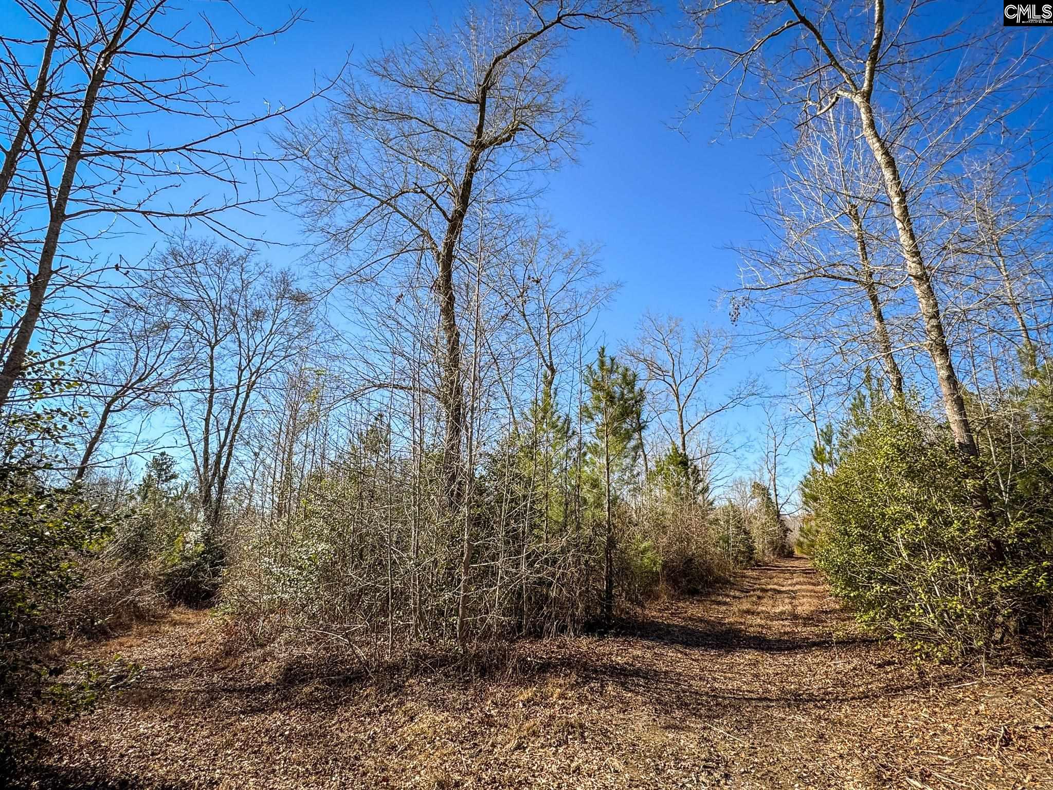Palomino Road UNIT Lot 17 Leesville, SC 29070