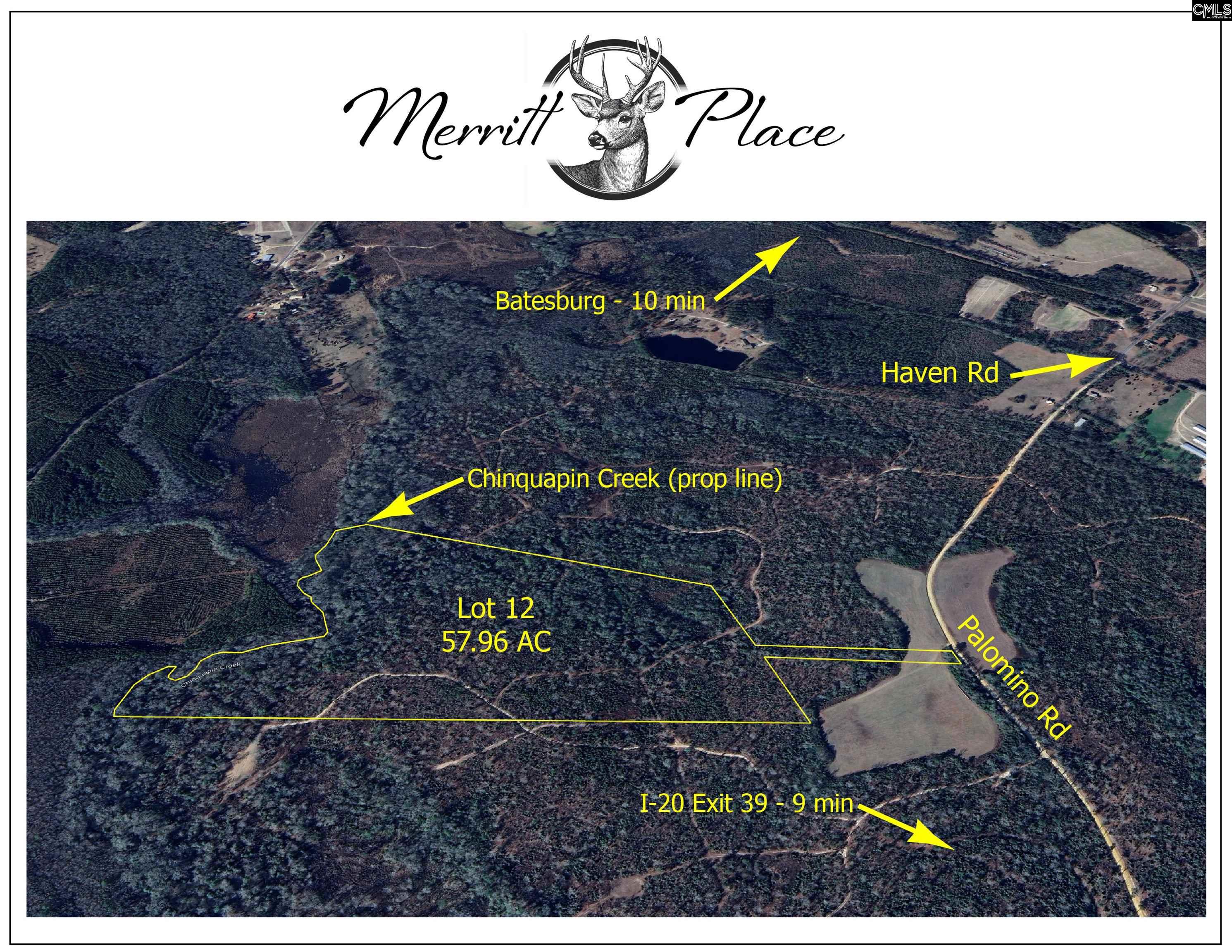 Palomino Road #LOT 12, Leesville, South Carolina image 2