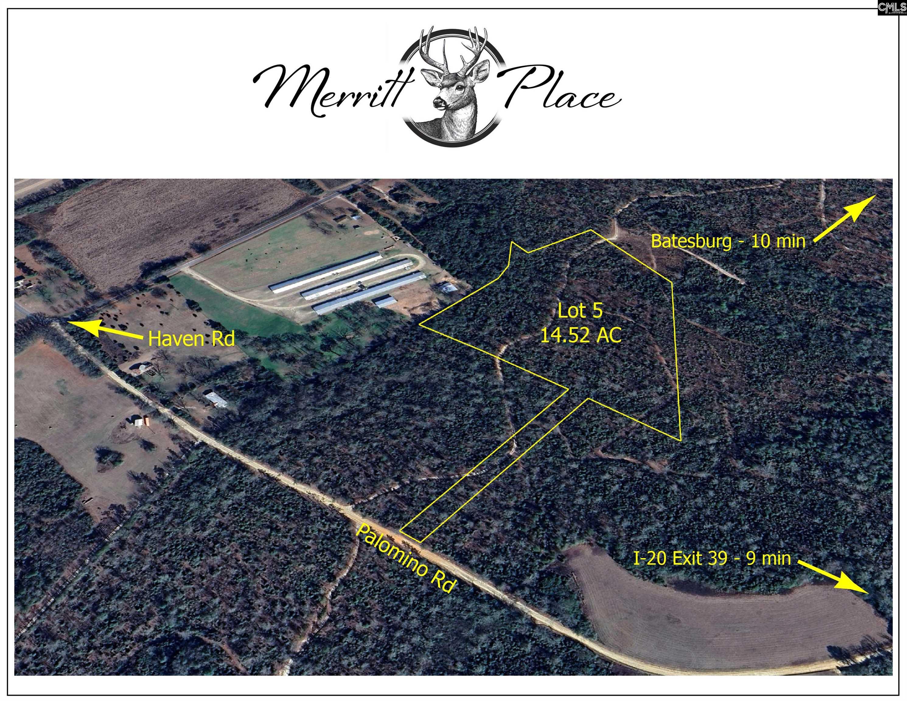 Palomino Road #LOT 5, Leesville, South Carolina image 1
