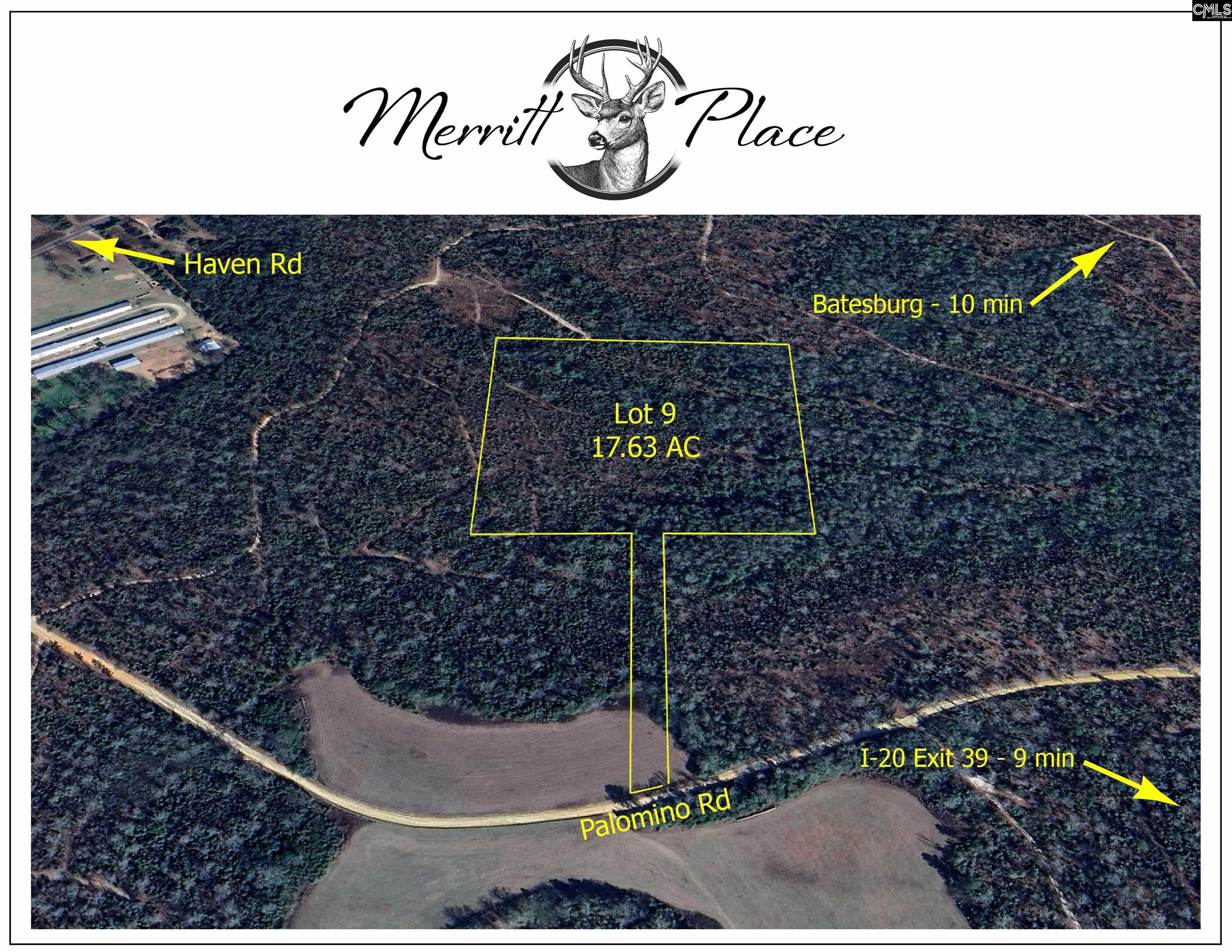 Palomino Road #LOT 9, Leesville, South Carolina image 1
