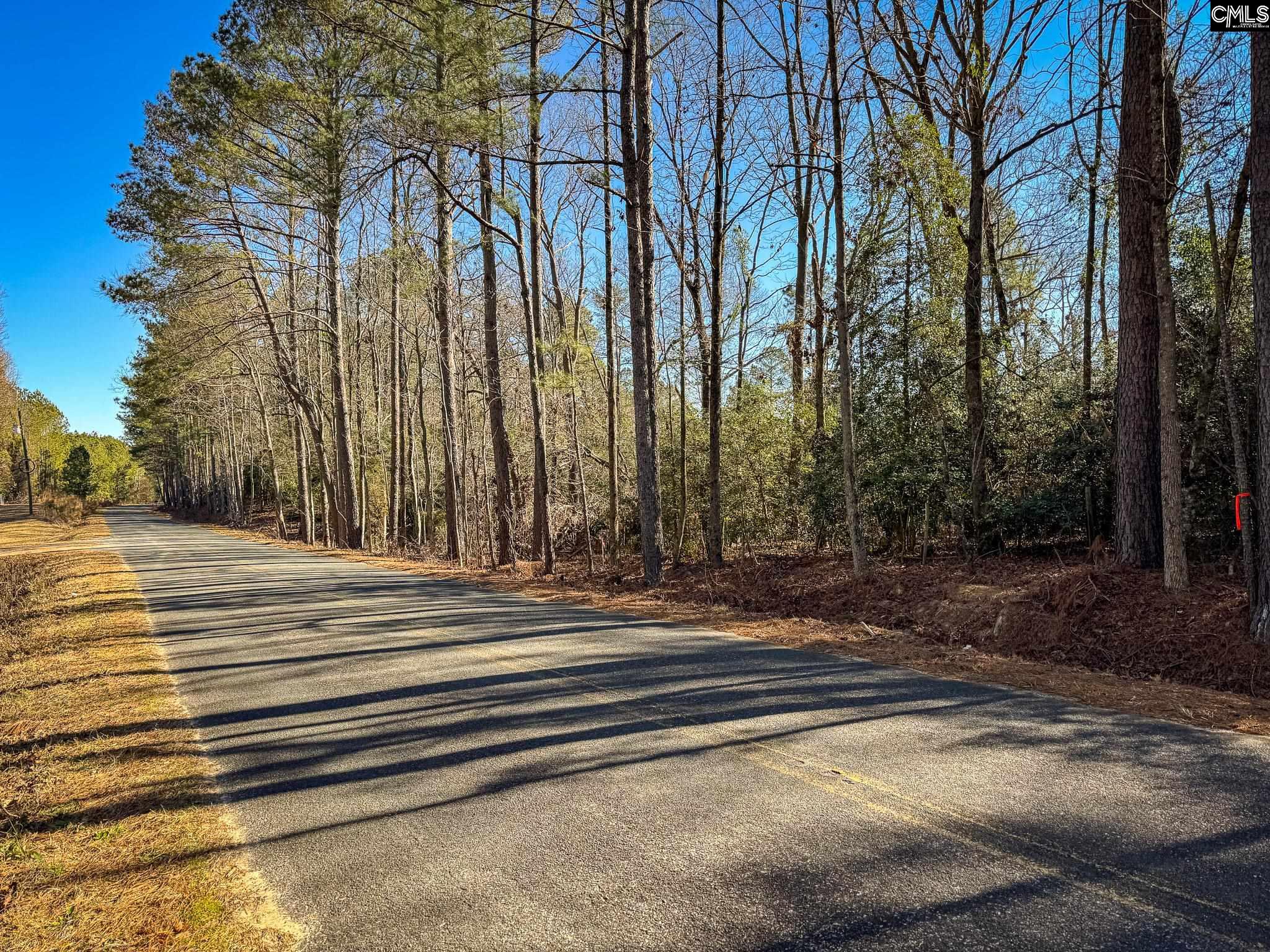 605 Haven Road #LOT 2, Leesville, South Carolina image 1