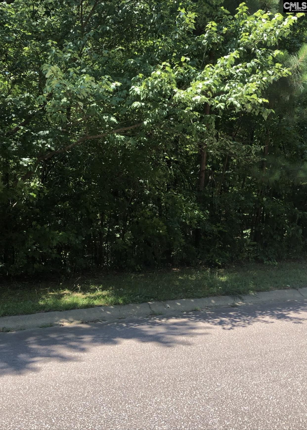 337 Heritage Hills Drive Columbia, SC 29203