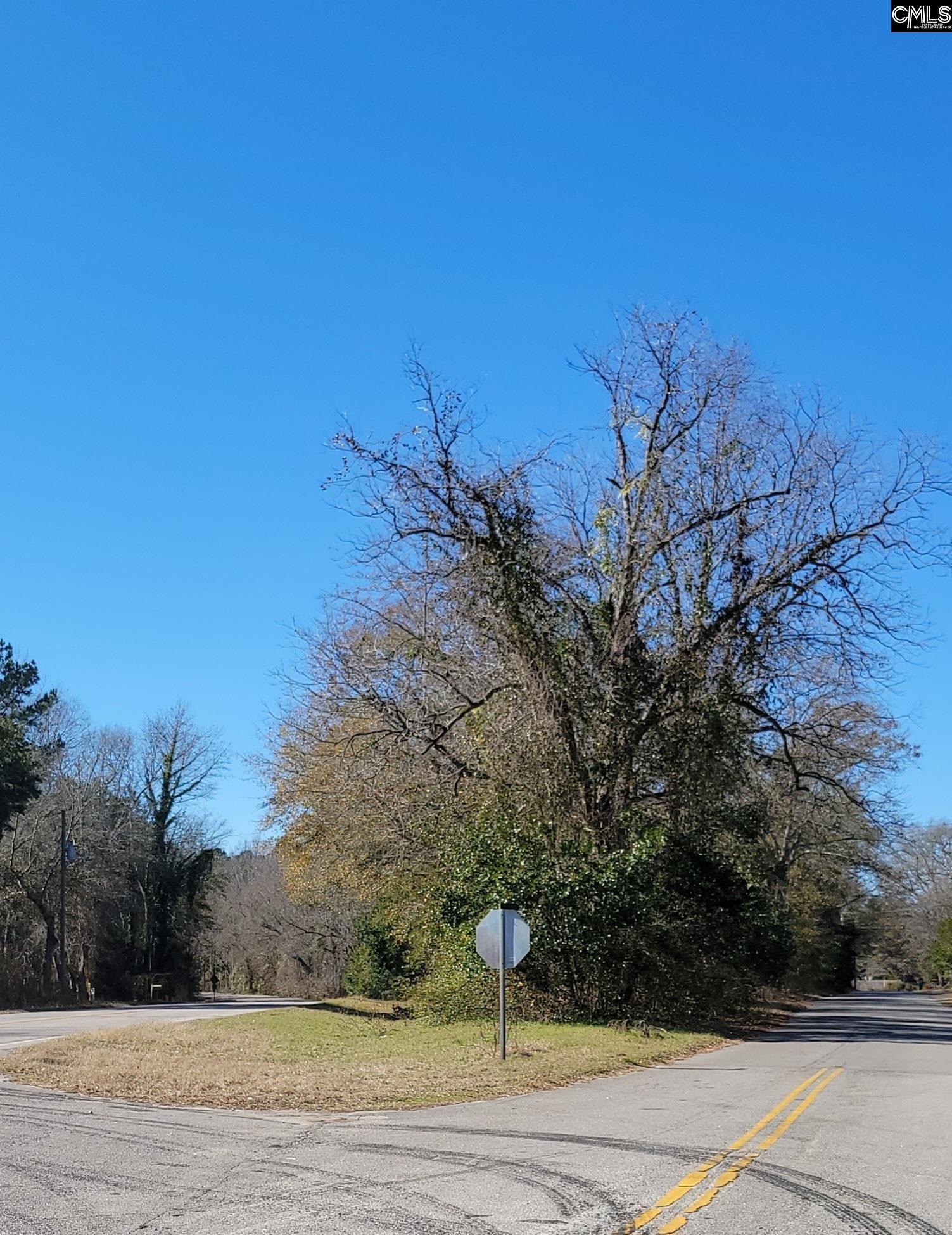 W Barnwell Highway Highway, Denmark, South Carolina image 2